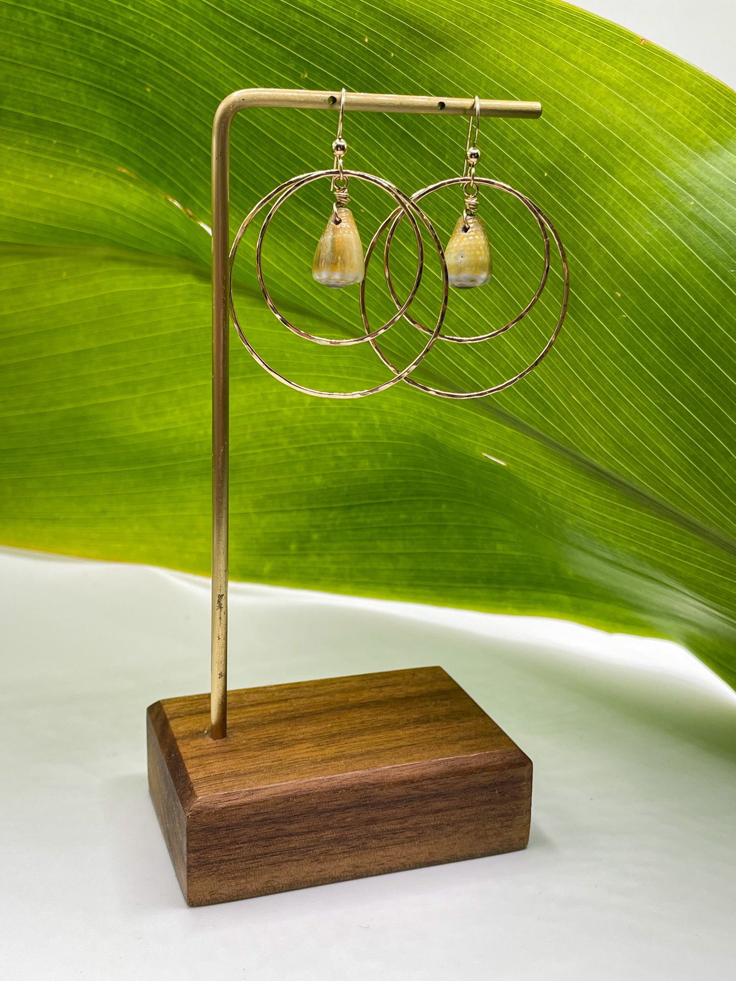 Shell in Double Hoops