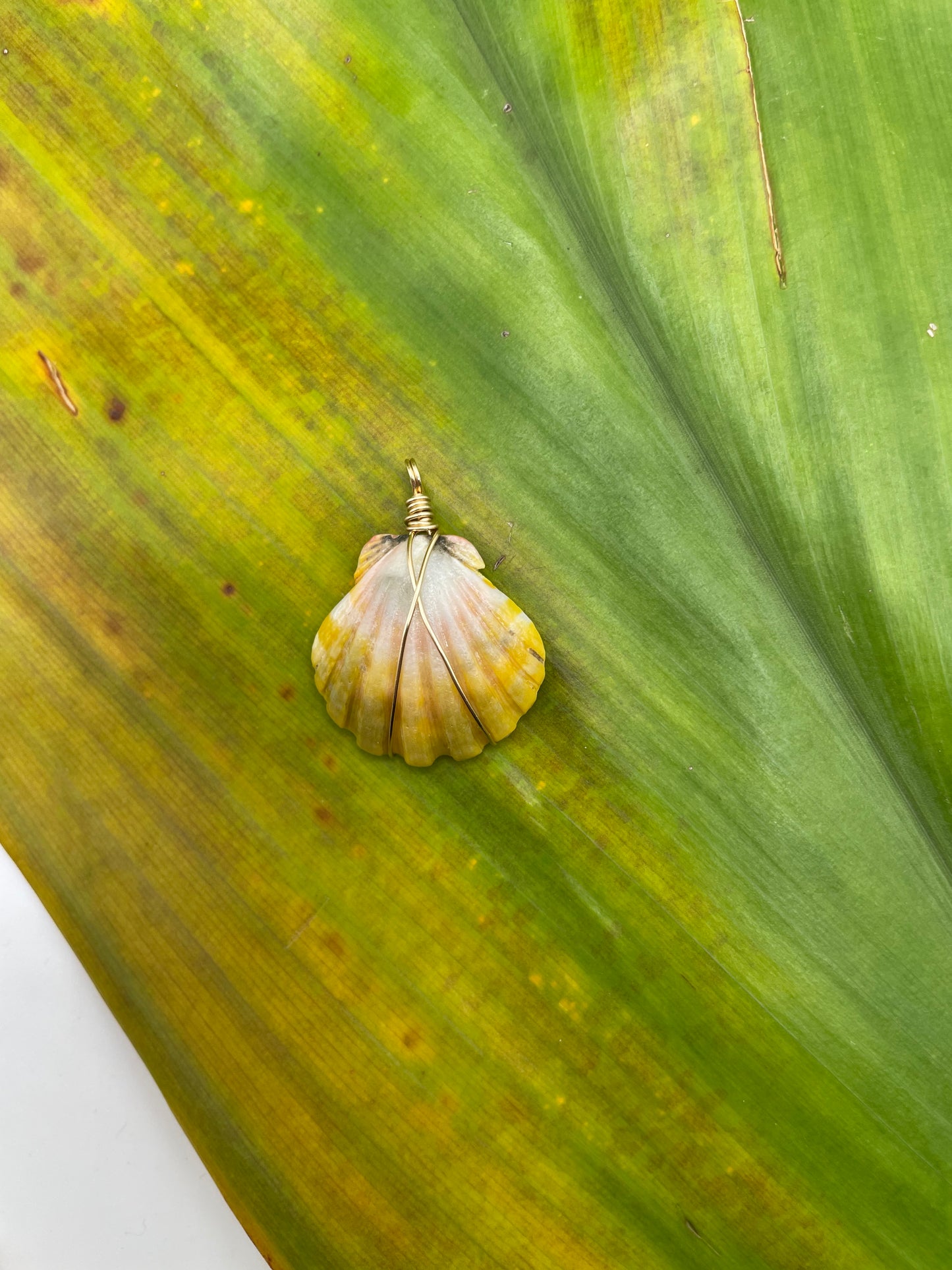 Sunrise Shell Necklace