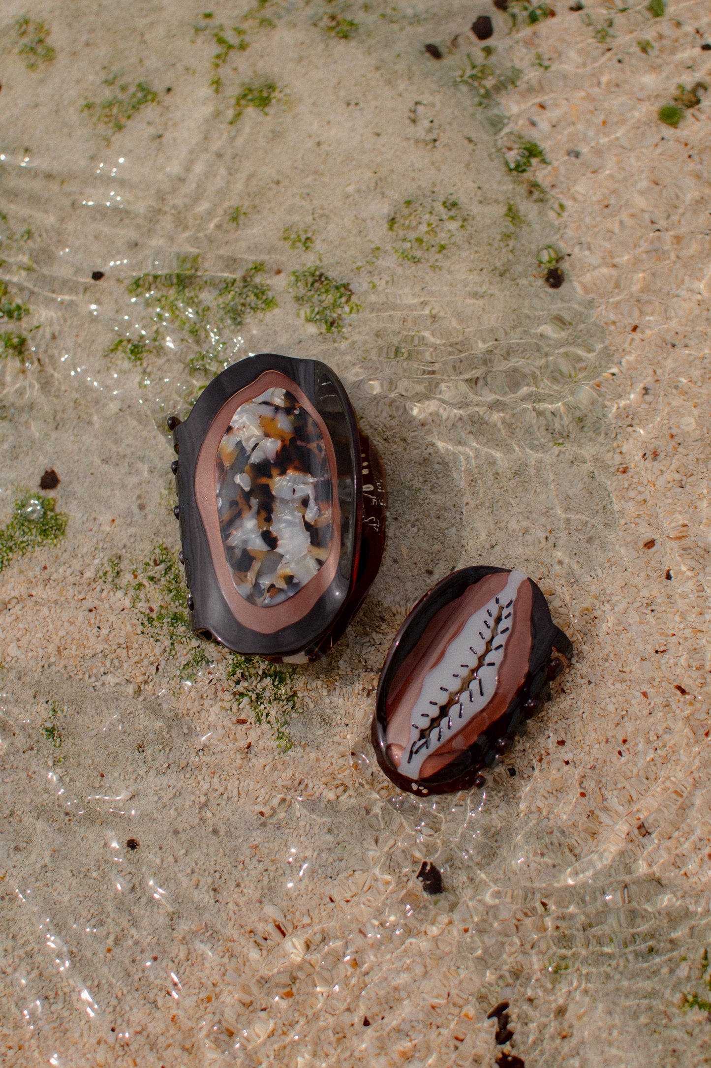 Brown Cowrie Hair Clip