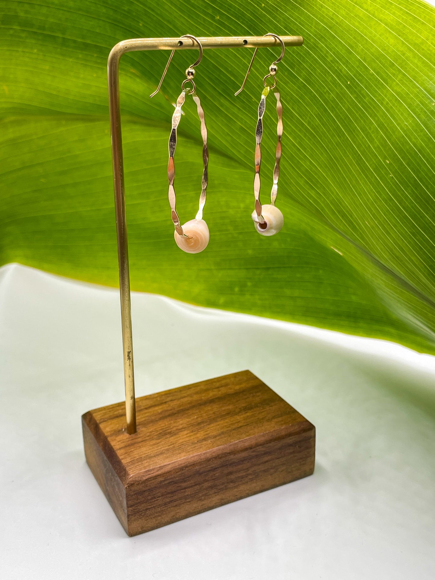 Cone Shell Hoops Medium