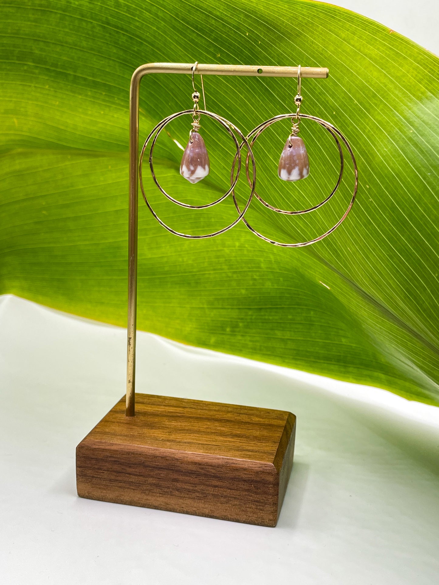Shell in Double Hoops