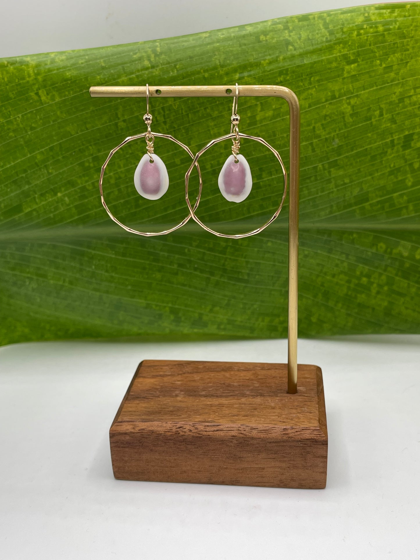 Fiji Cowrie Shell Earrings