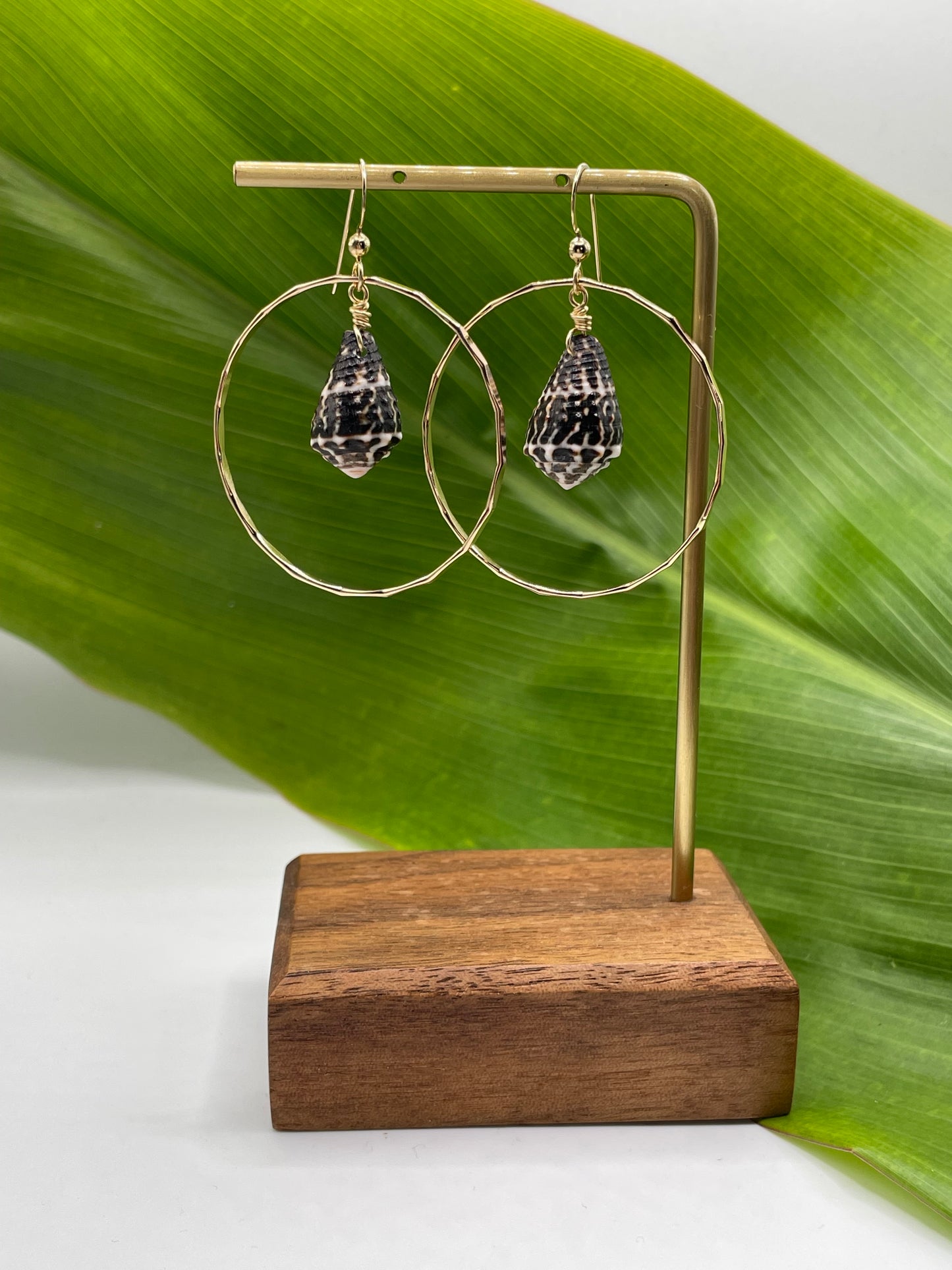 Chaldean Shell in Hoops Medium