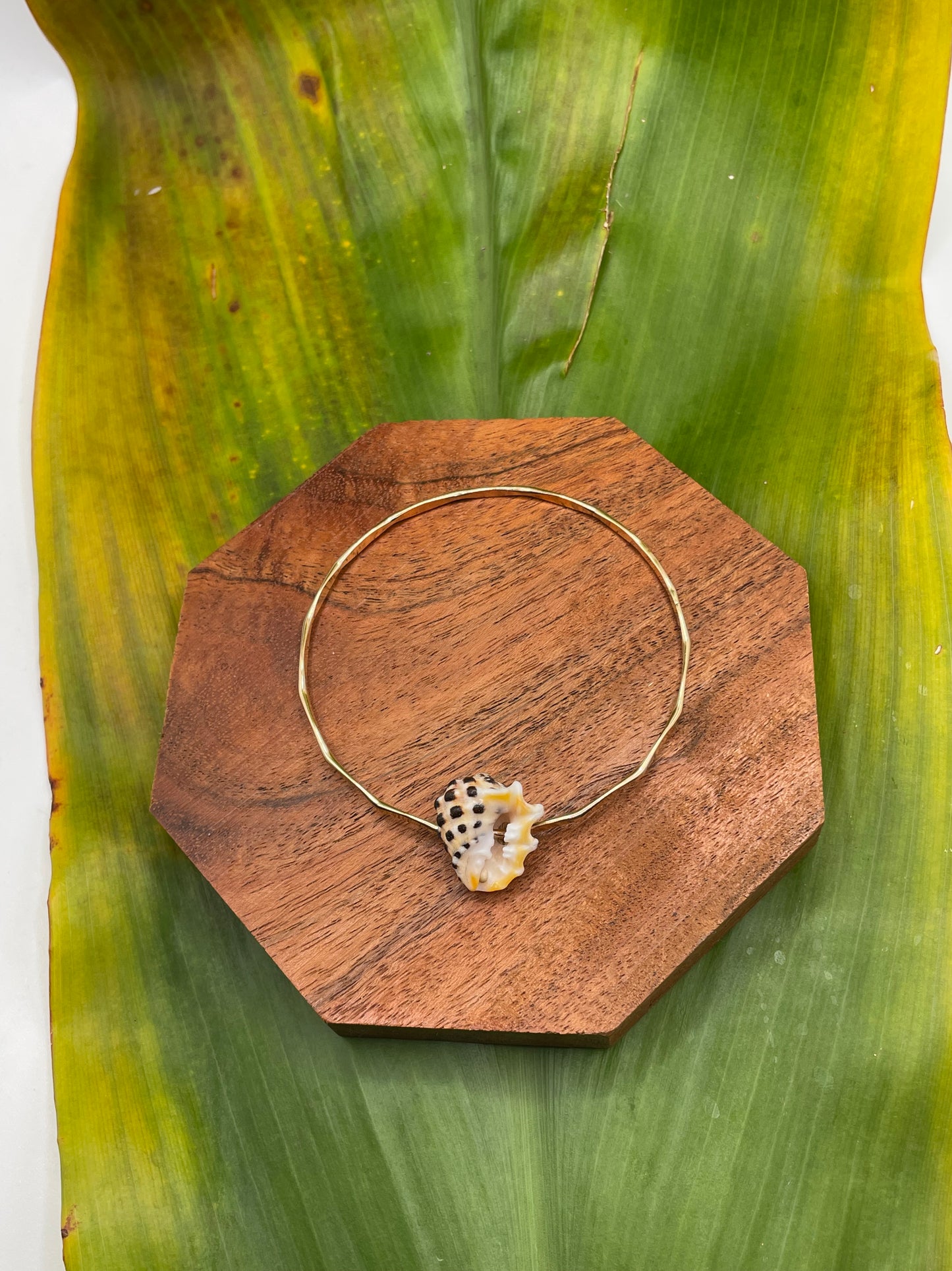 7.5" Drupe Shell Bangle Gold Filled