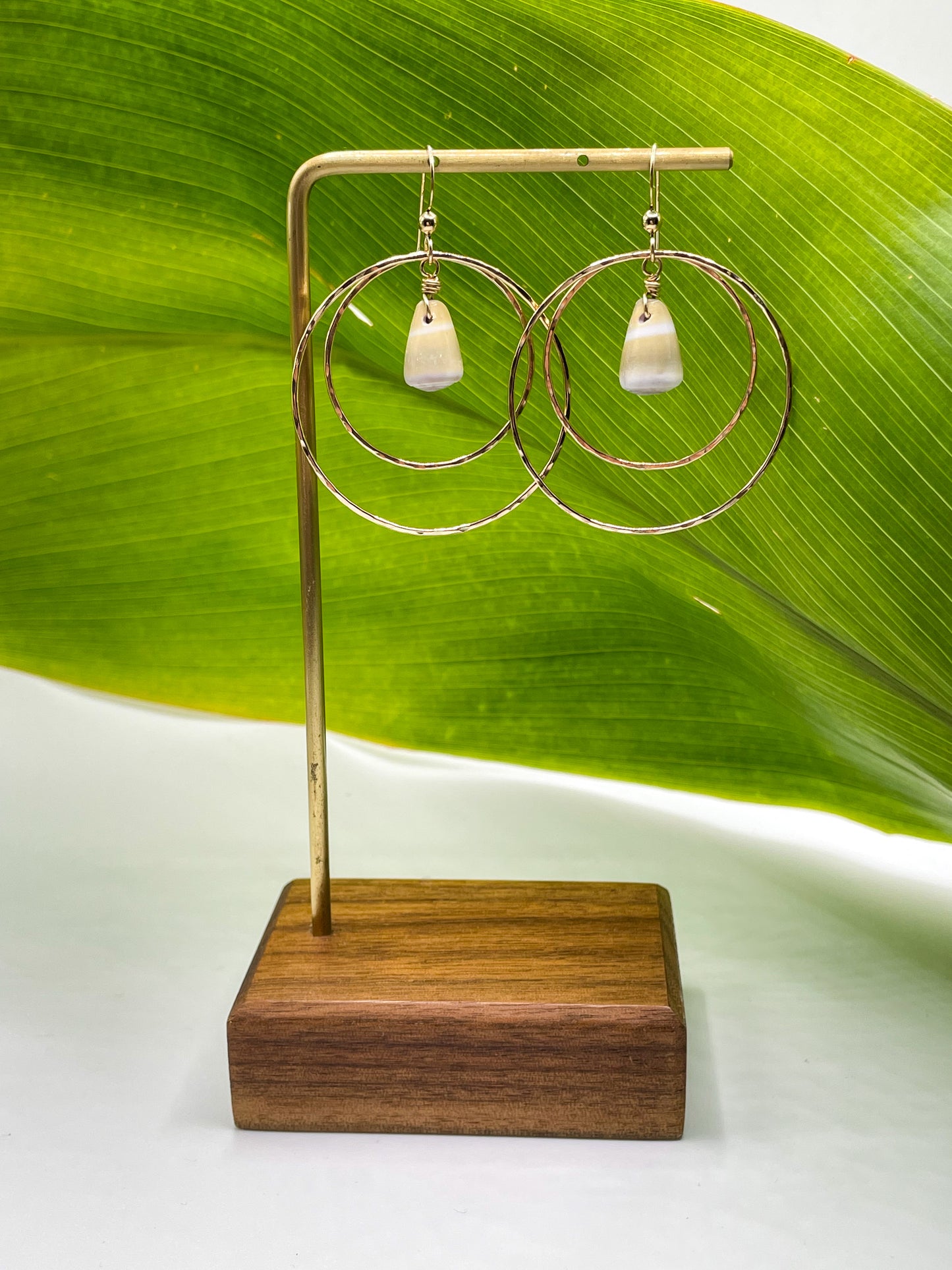 Shell in Double Hoops