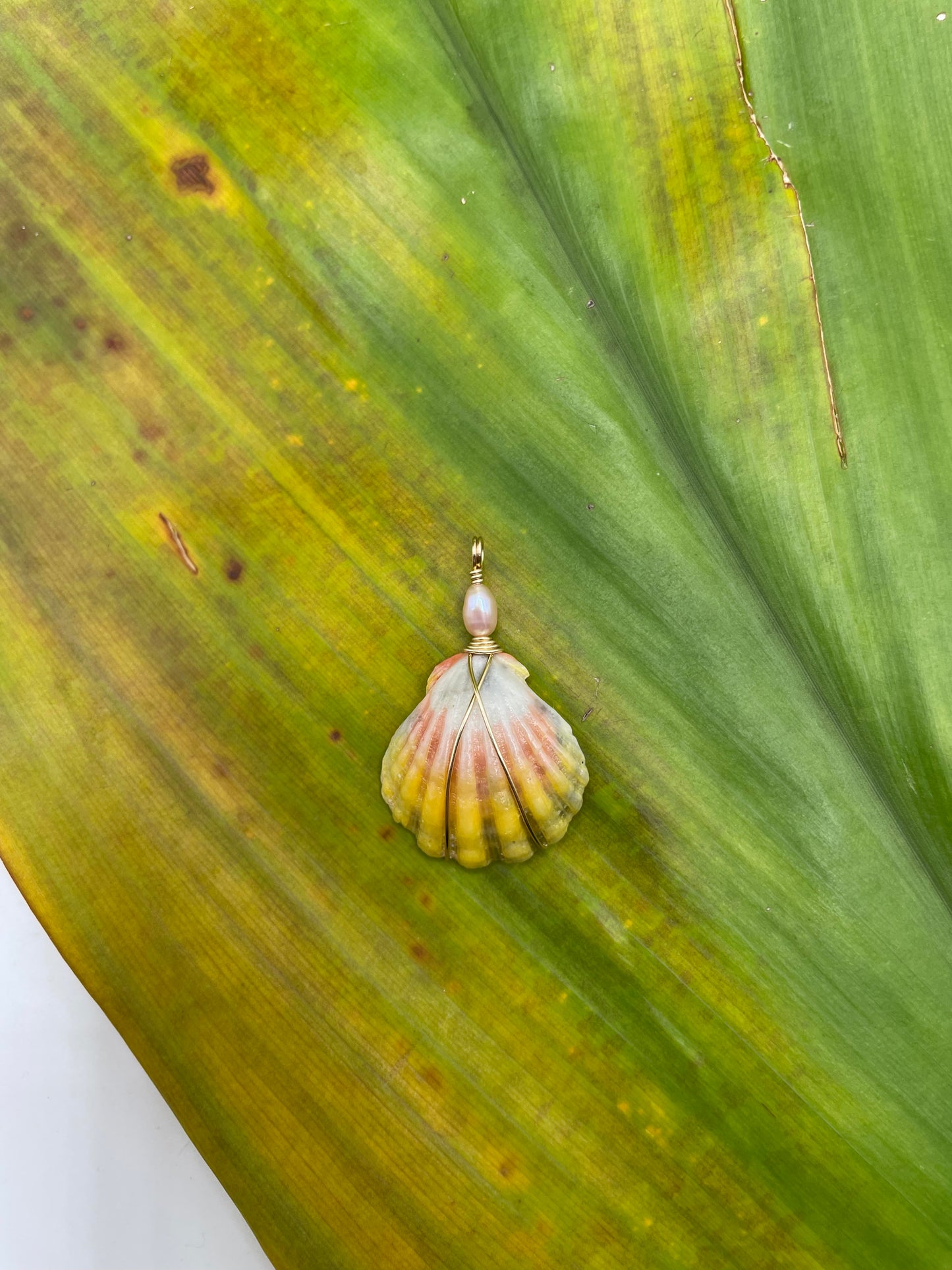 Sunrise Shell Necklace