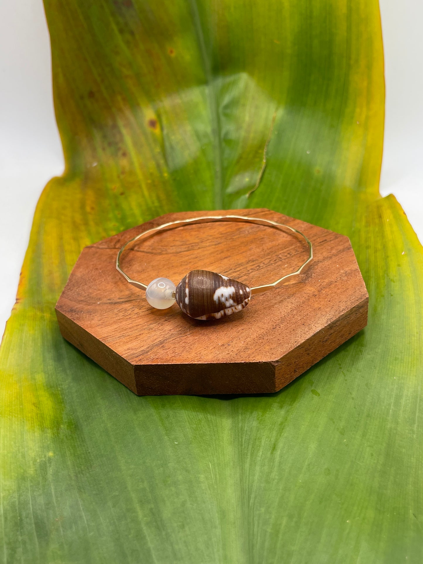 8.5" Cat Cone Shell Bangle Gold Filled