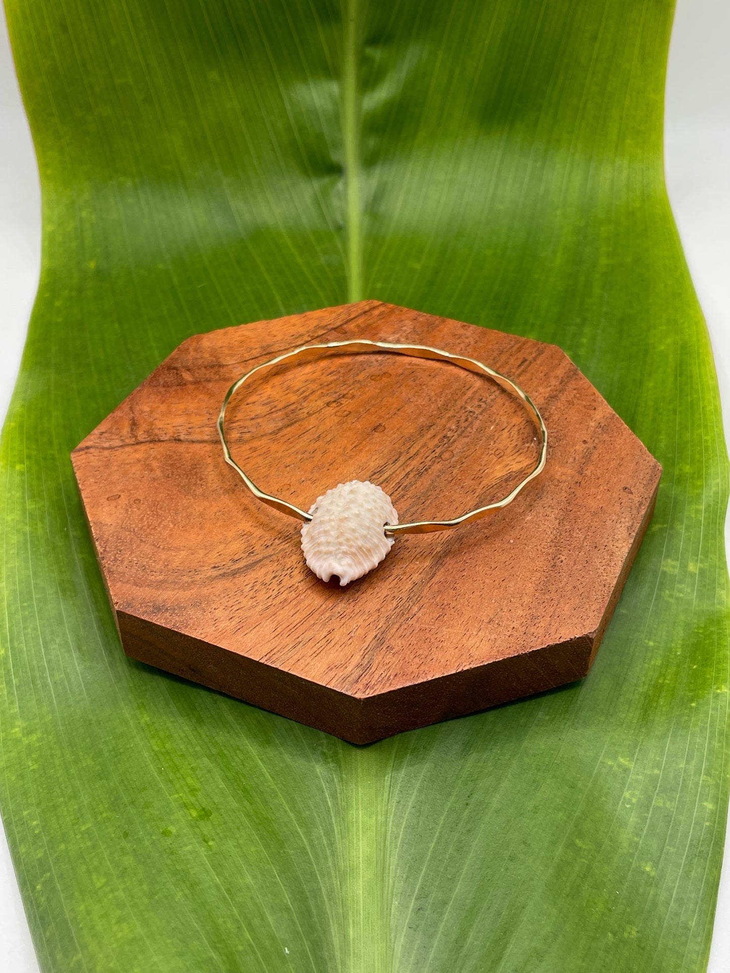 7" Sugar Cowrie Bangle Gold Filled