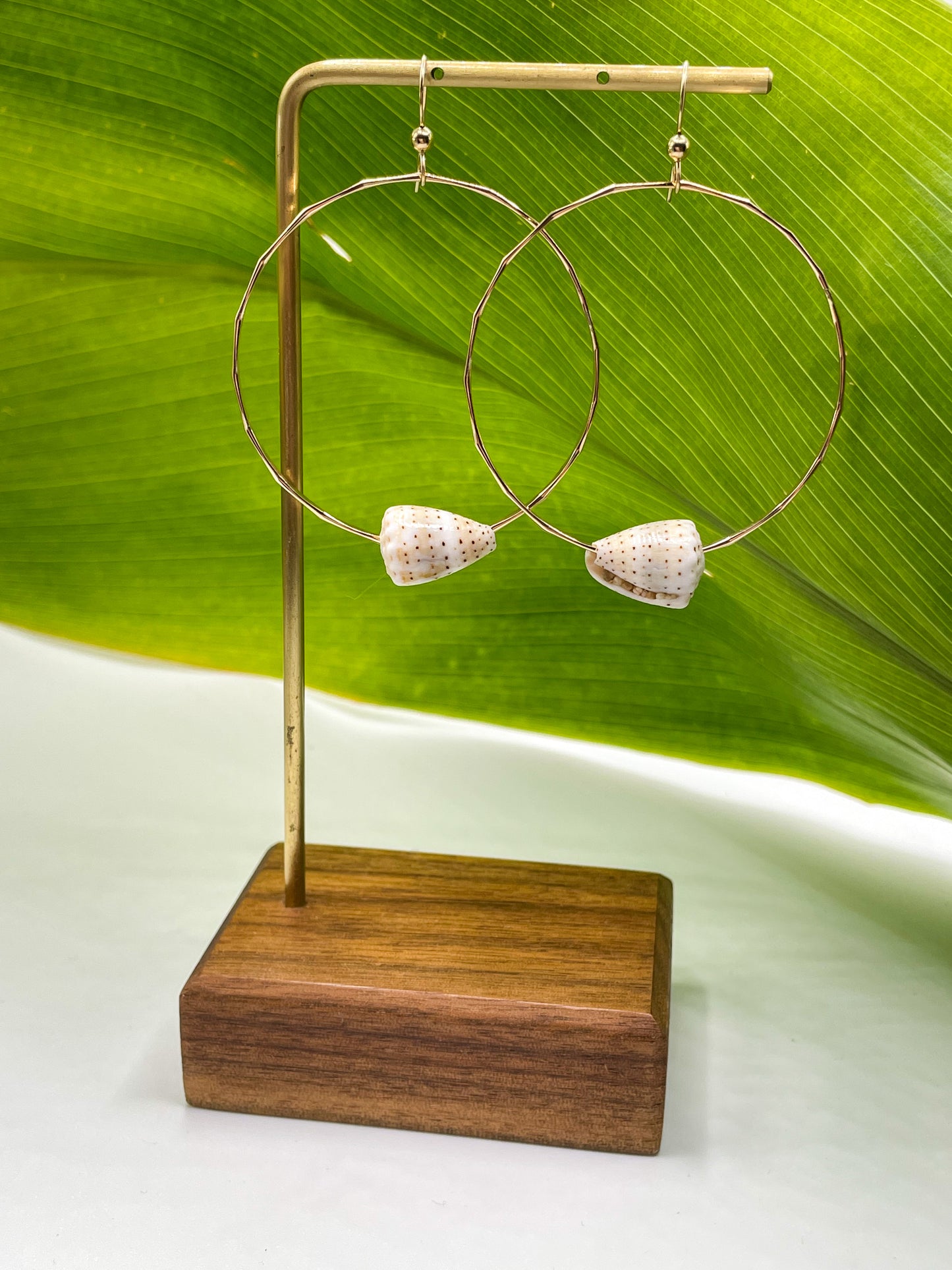 Cone Shell Hoops Large