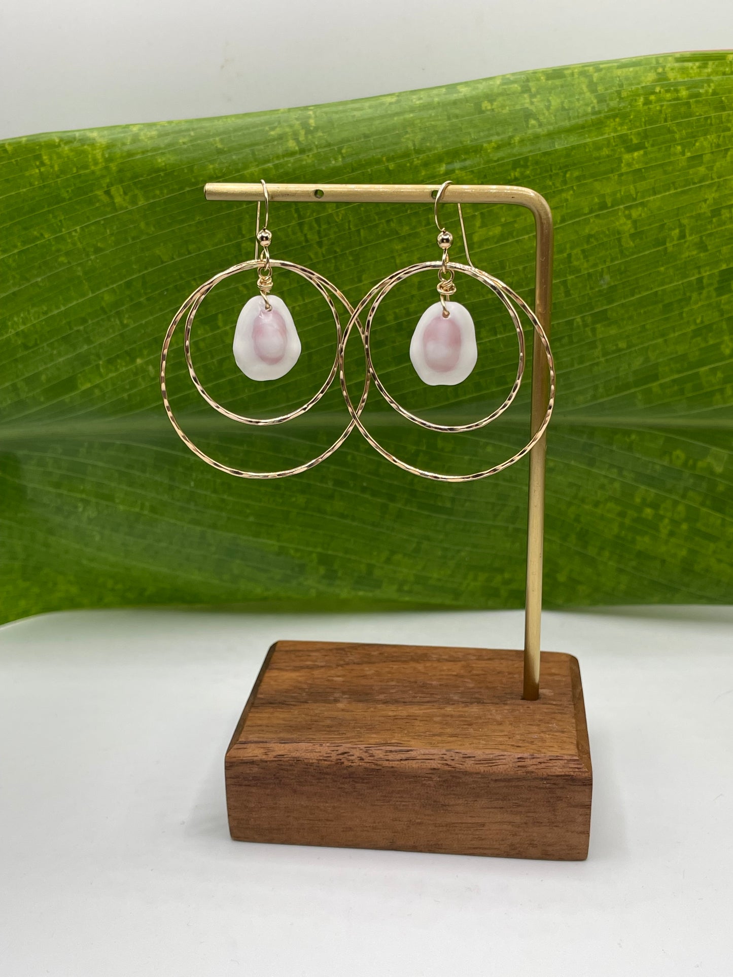 Fiji Cowrie Shell Earrings