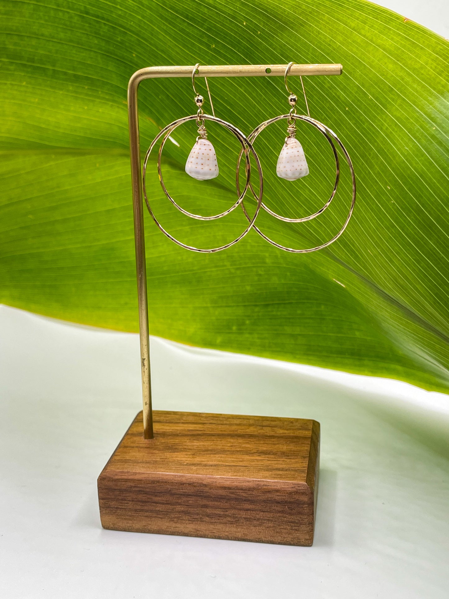 Shell in Double Hoops