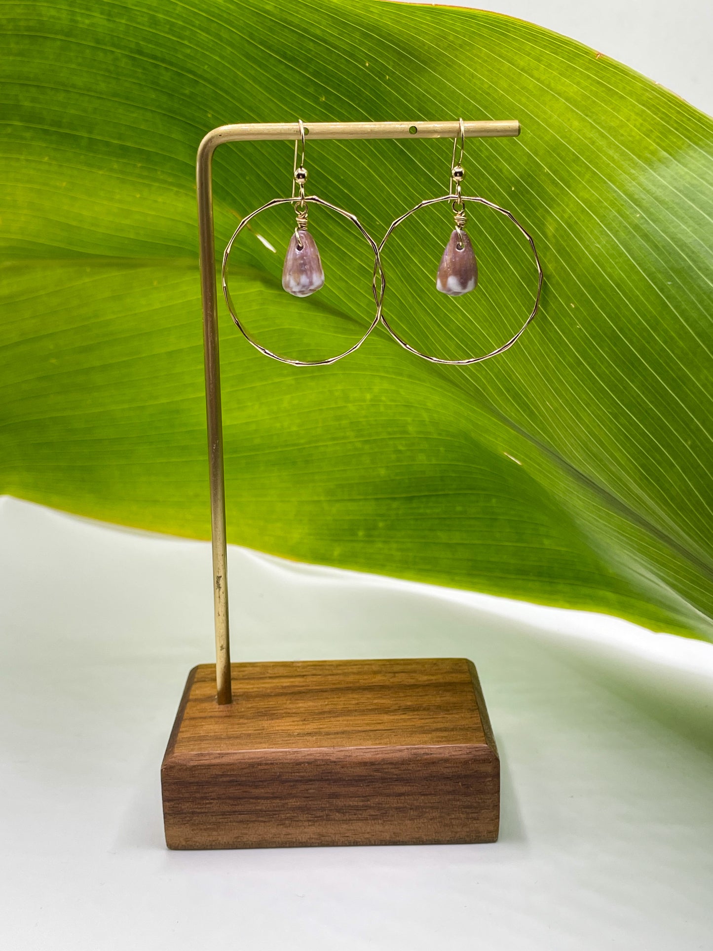 Cone Shell in Hoops Small