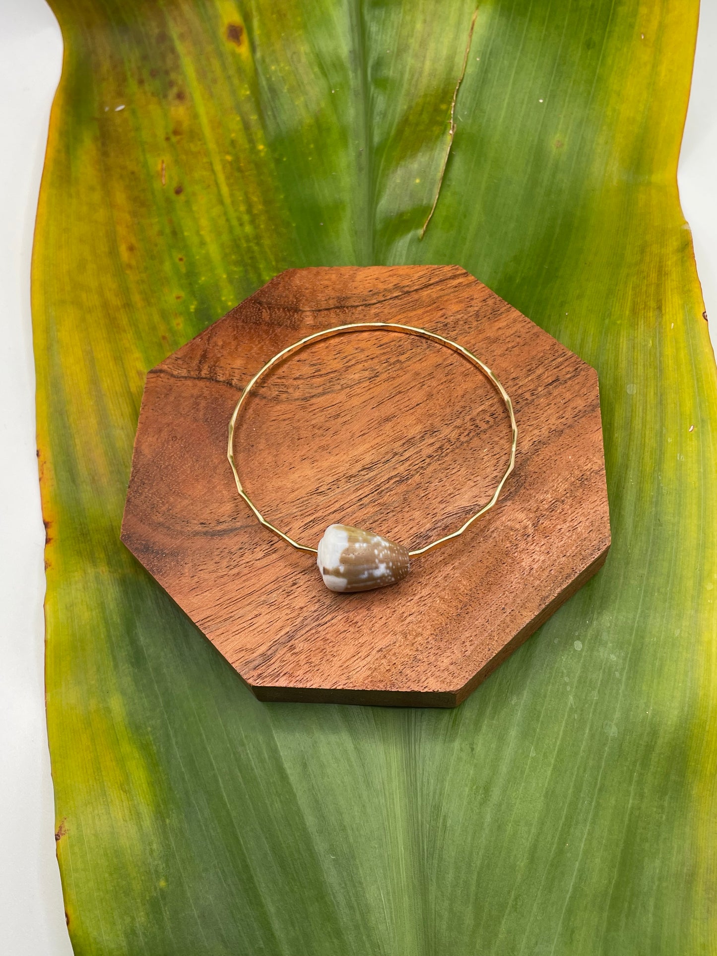 7.5" Rat Cone Shell Bangle Gold Filled