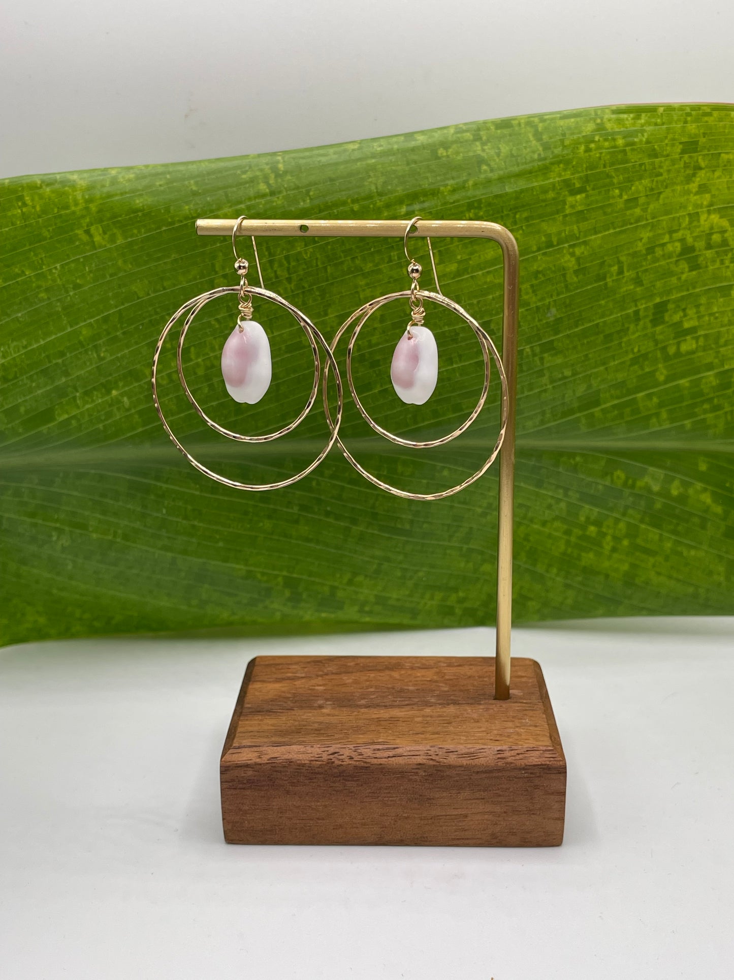 Fiji Cowrie Shell Earrings