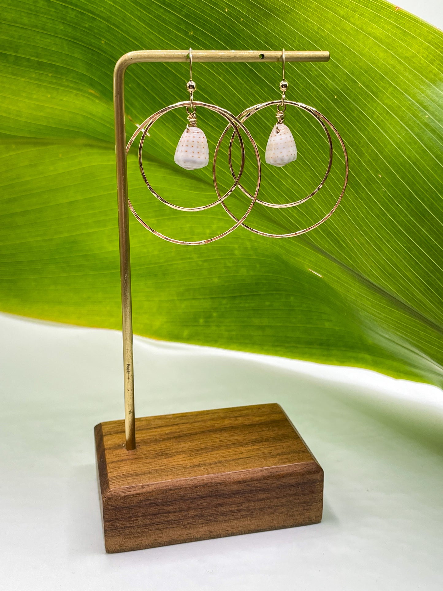 Shell in Double Hoops