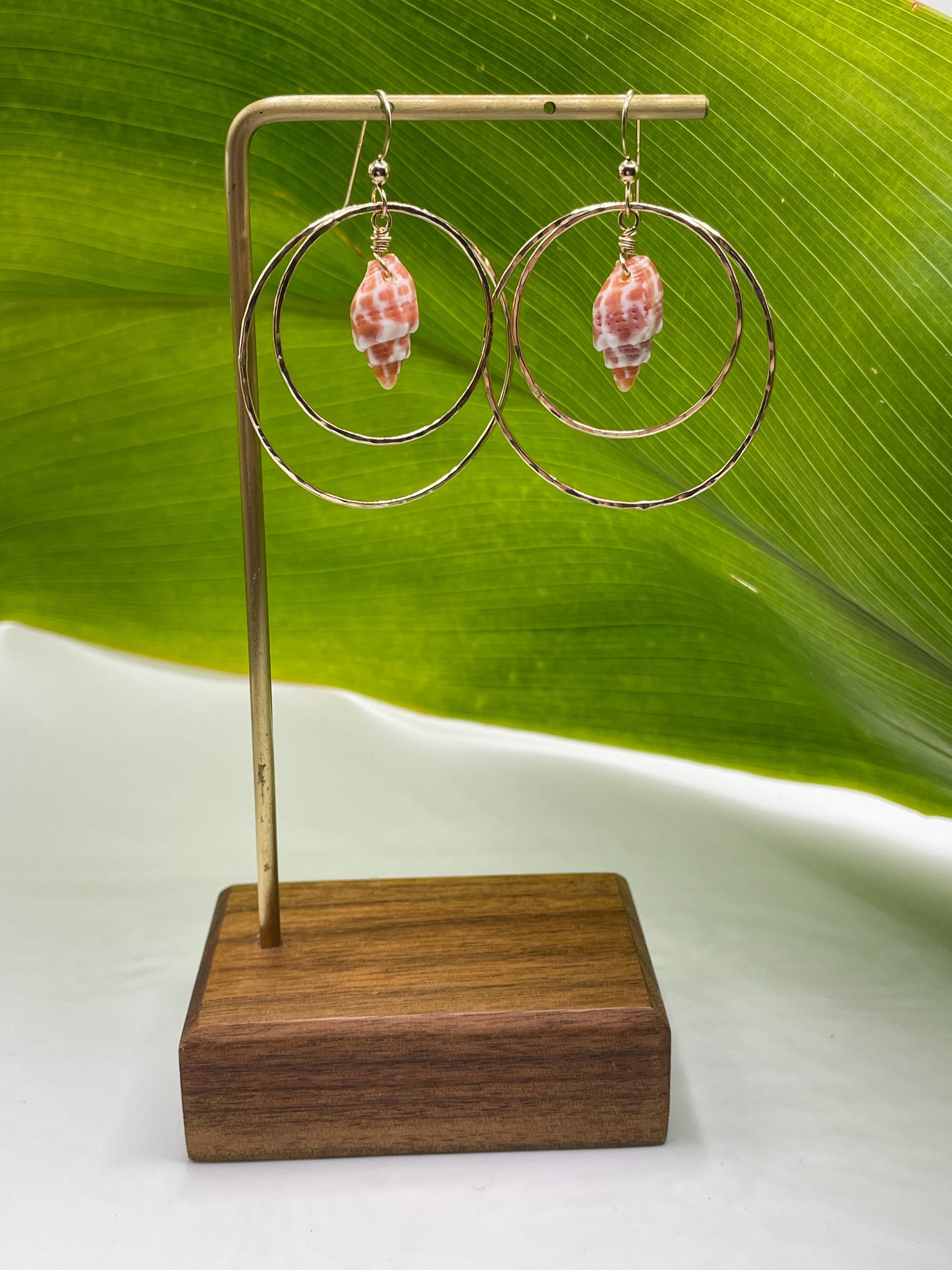 Miter Shell Double Hoops