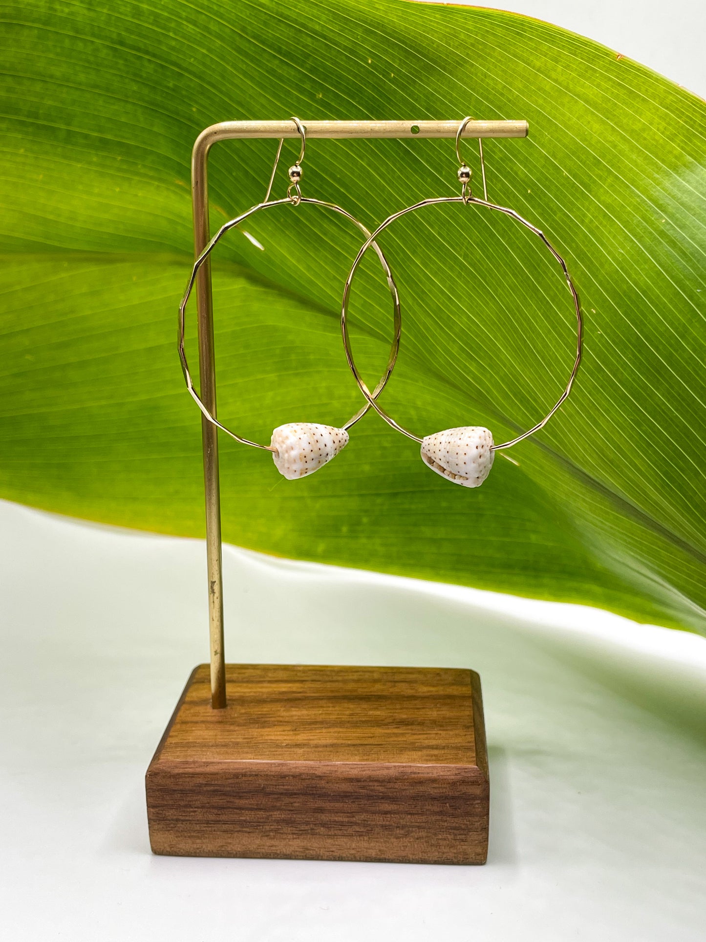 Cone Shell Hoops Large