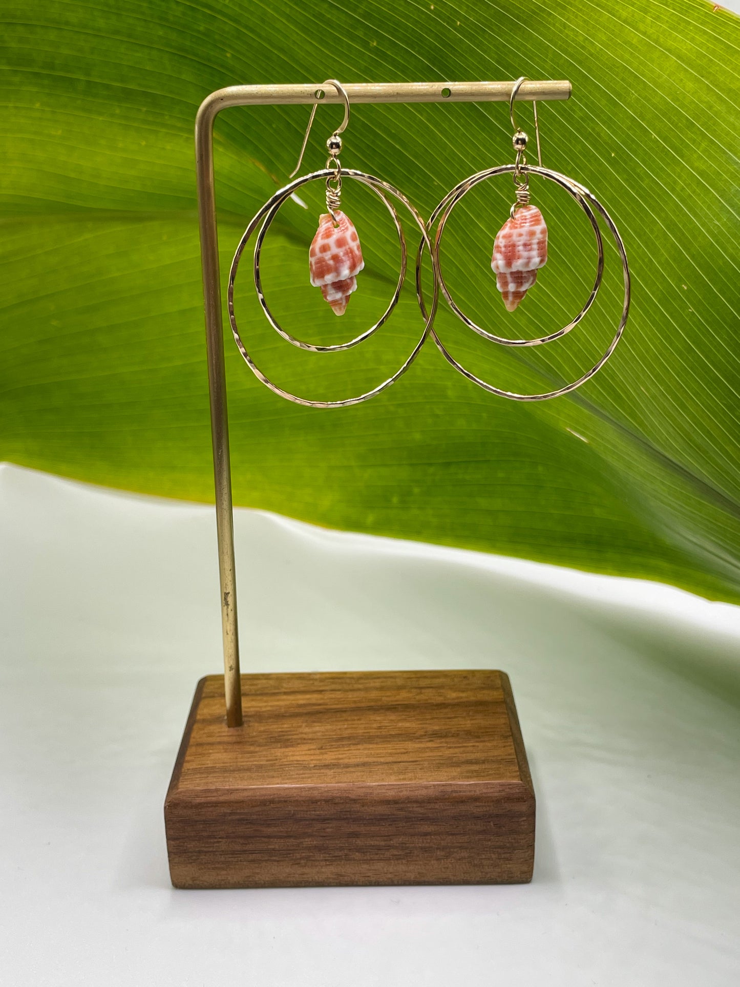 Miter Shell Double Hoops