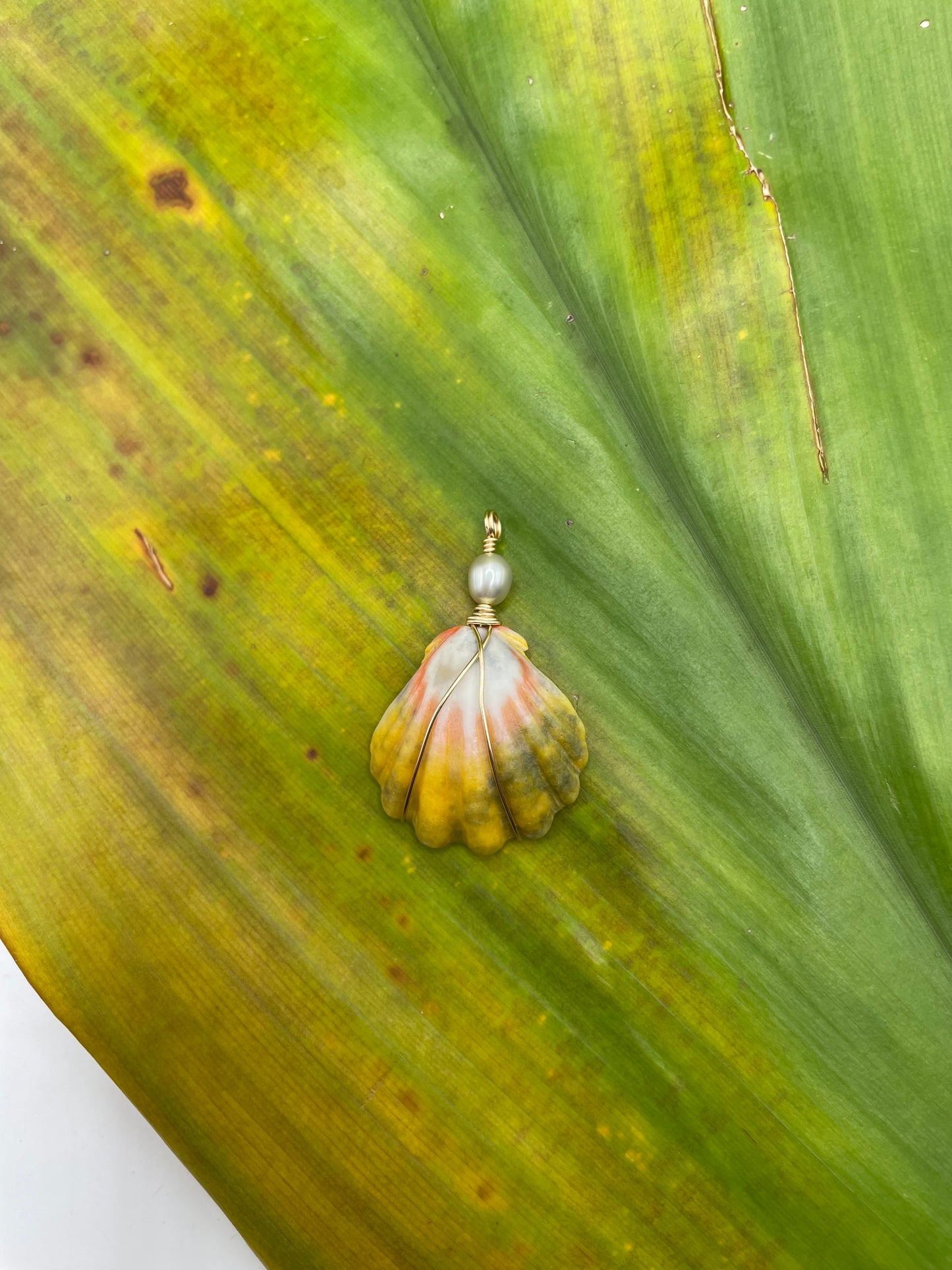 Sunrise Shell Necklace