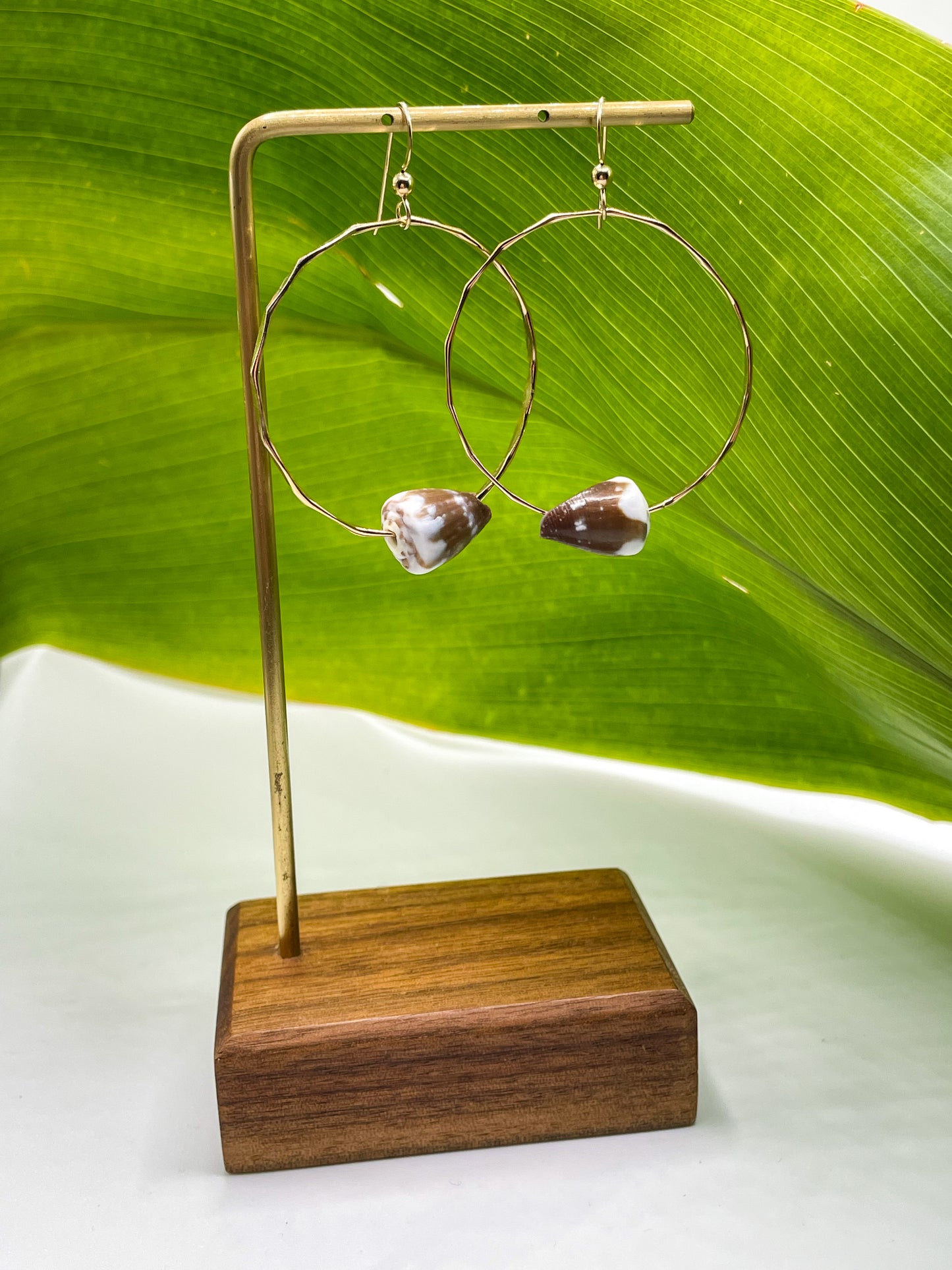 Cone Shell Hoops Medium