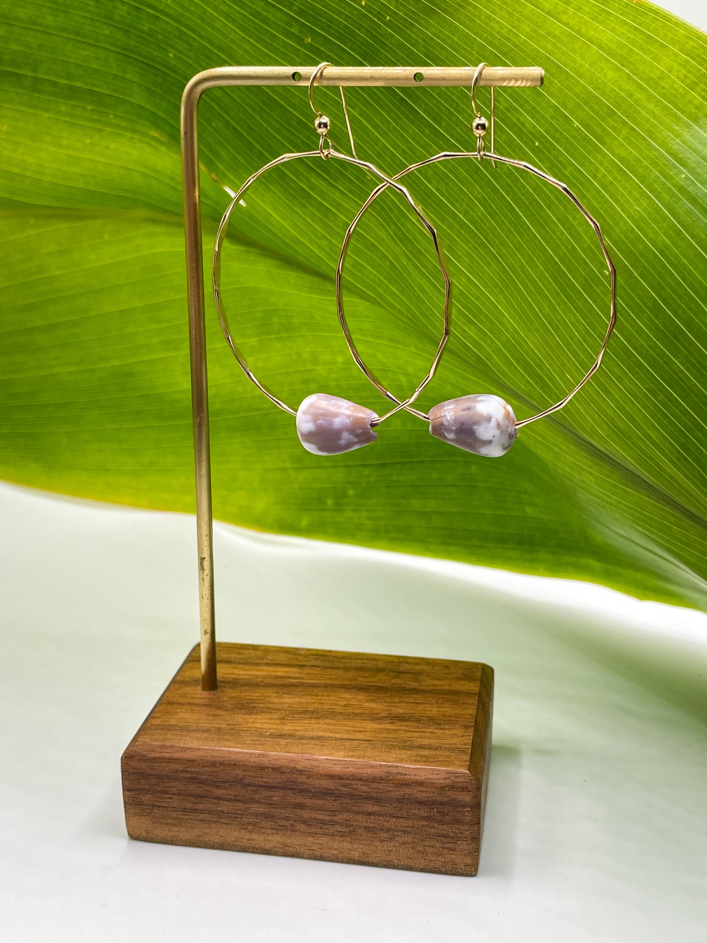 Cone Shell Hoops Large