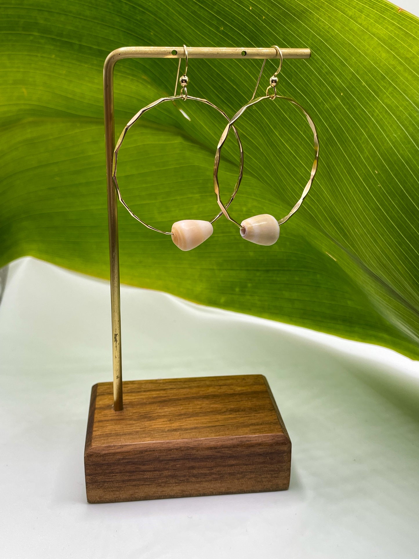 Cone Shell Hoops Medium