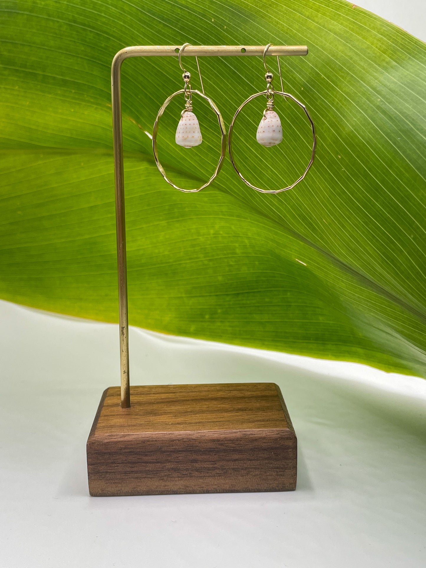 Cone Shell in Hoops Small