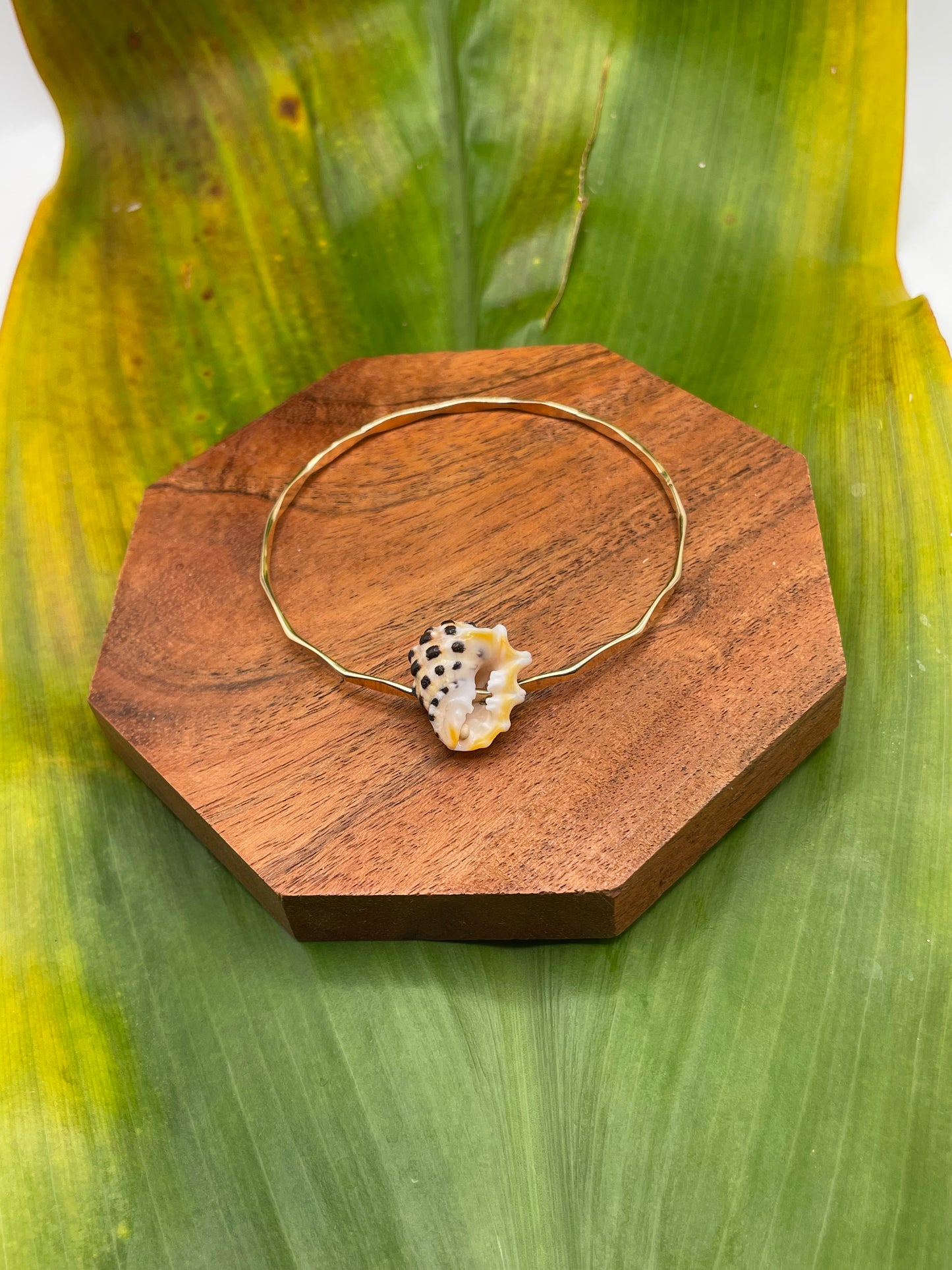 7.5" Drupe Shell Bangle Gold Filled
