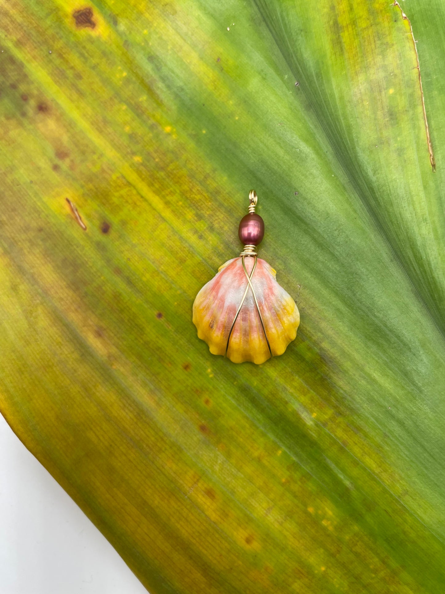 Sunrise Shell Necklace