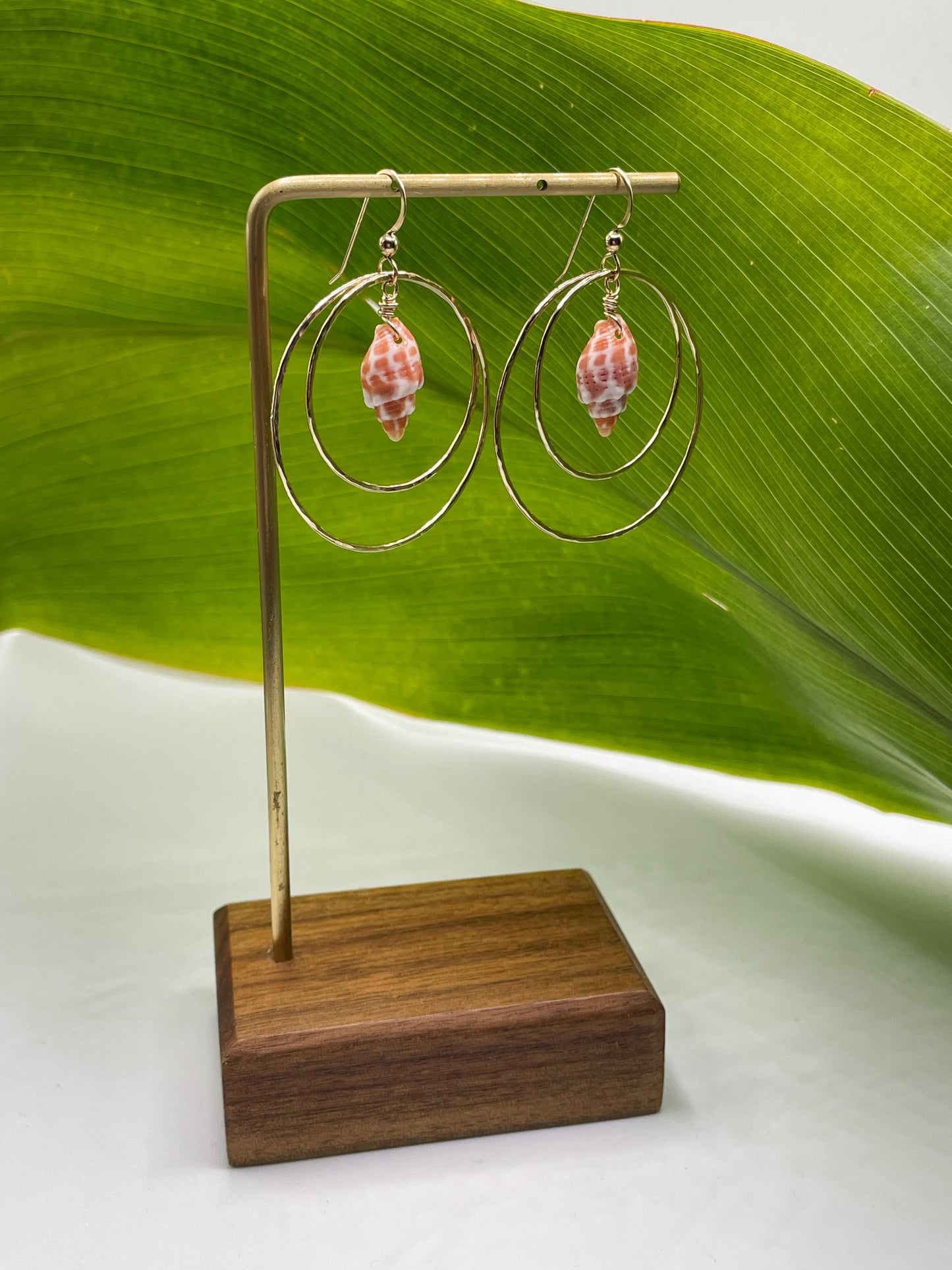 Miter Shell Double Hoops