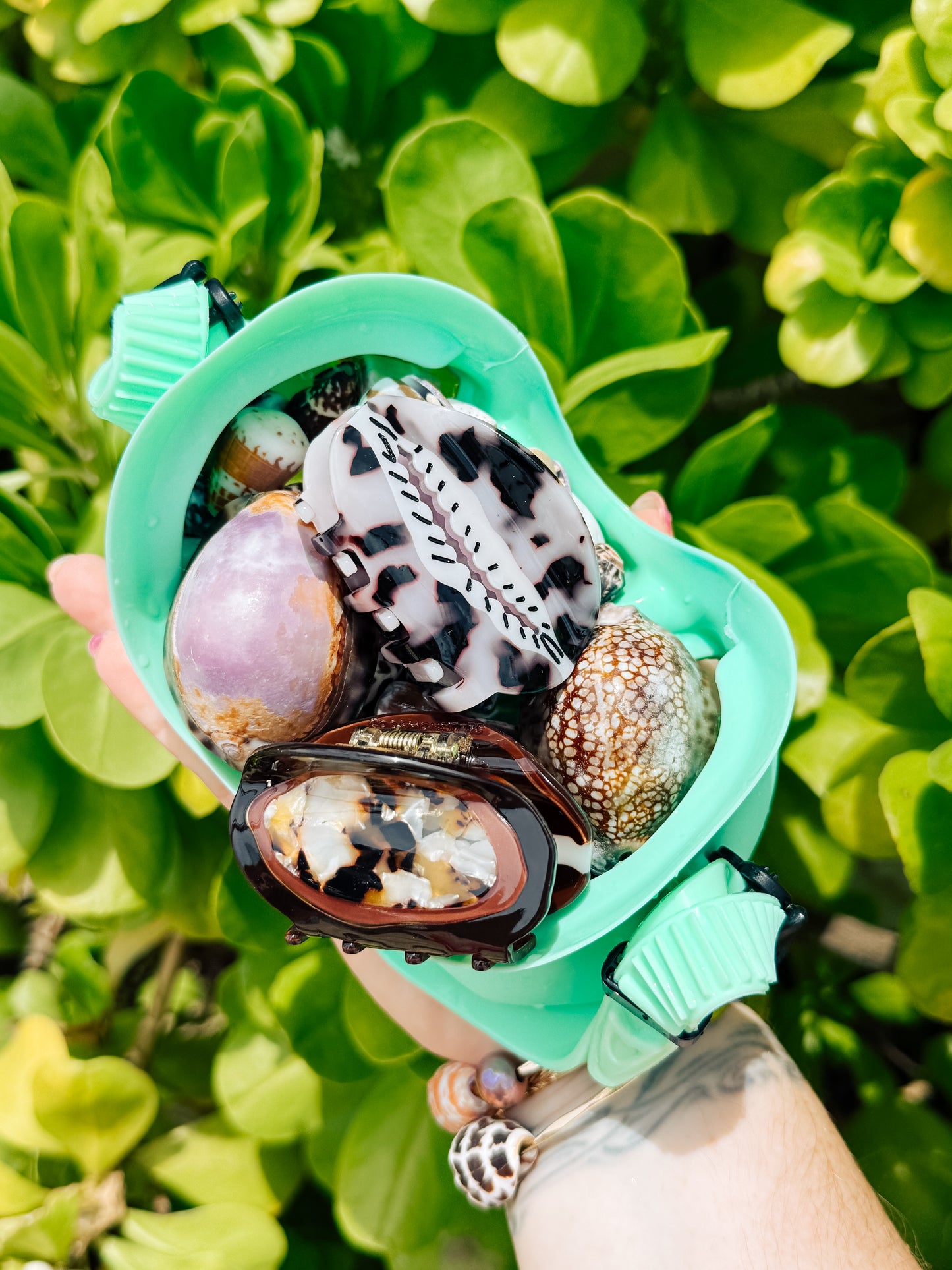 Brown Cowrie Hair Clip