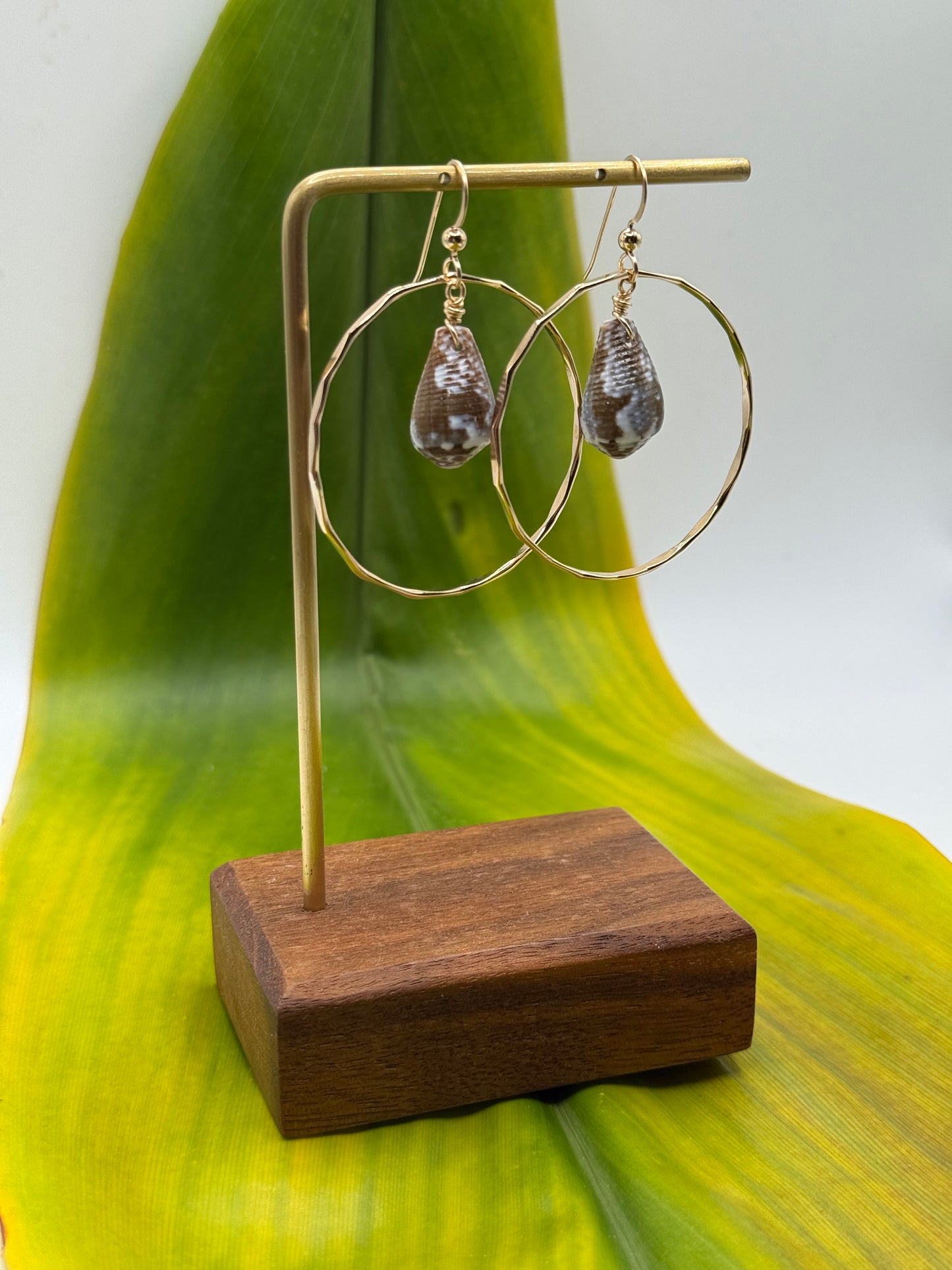 Cone Shell in Hoops Medium