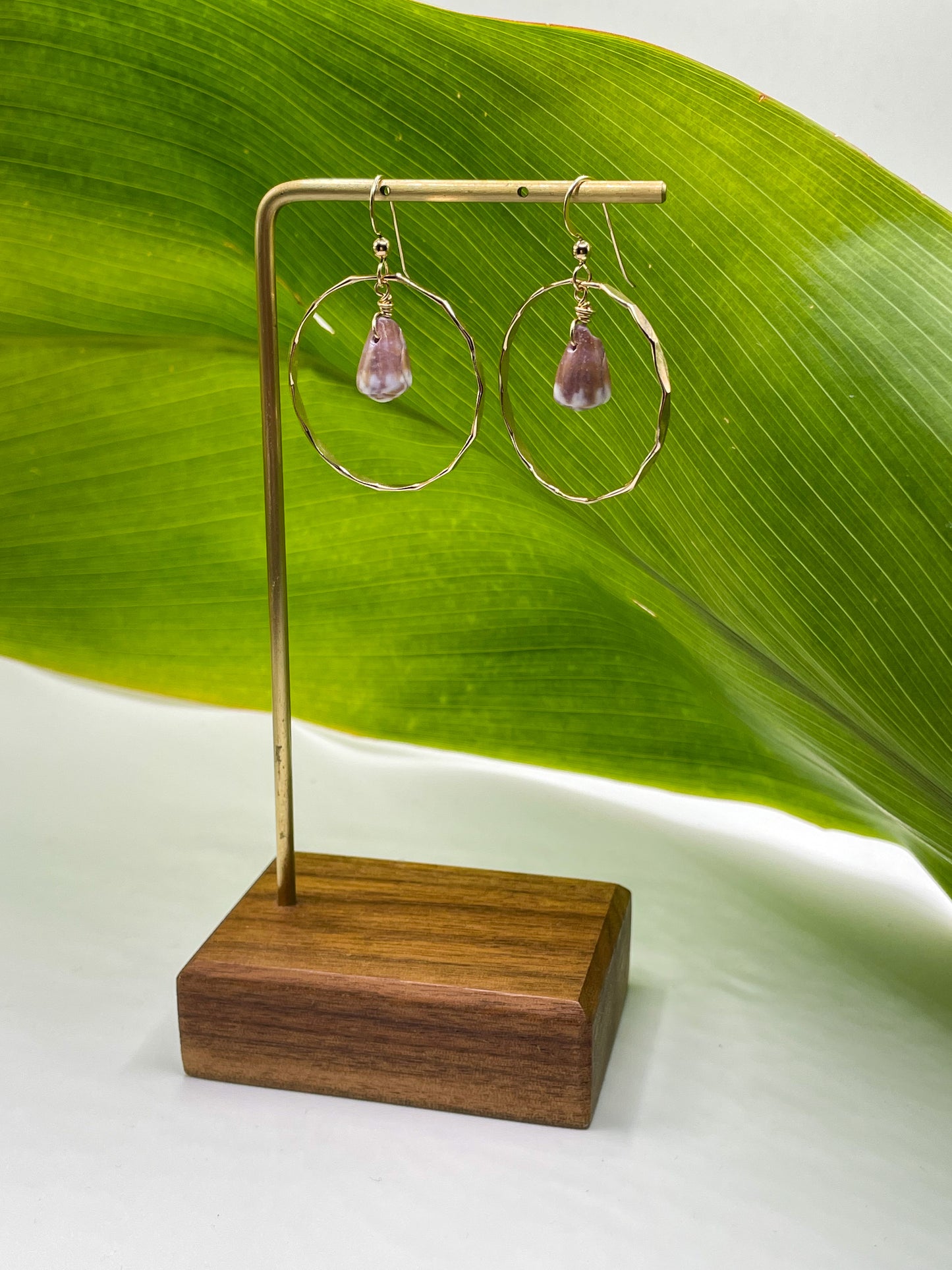 Cone Shell in Hoops Small
