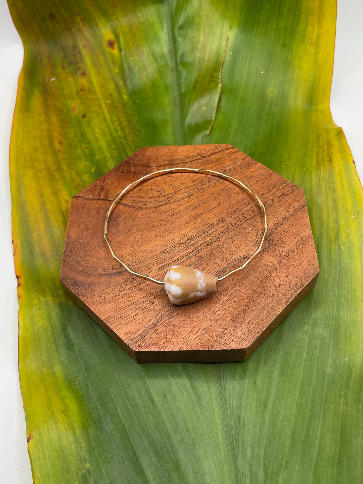 8" Rat Cone Shell Bangle Gold Filled