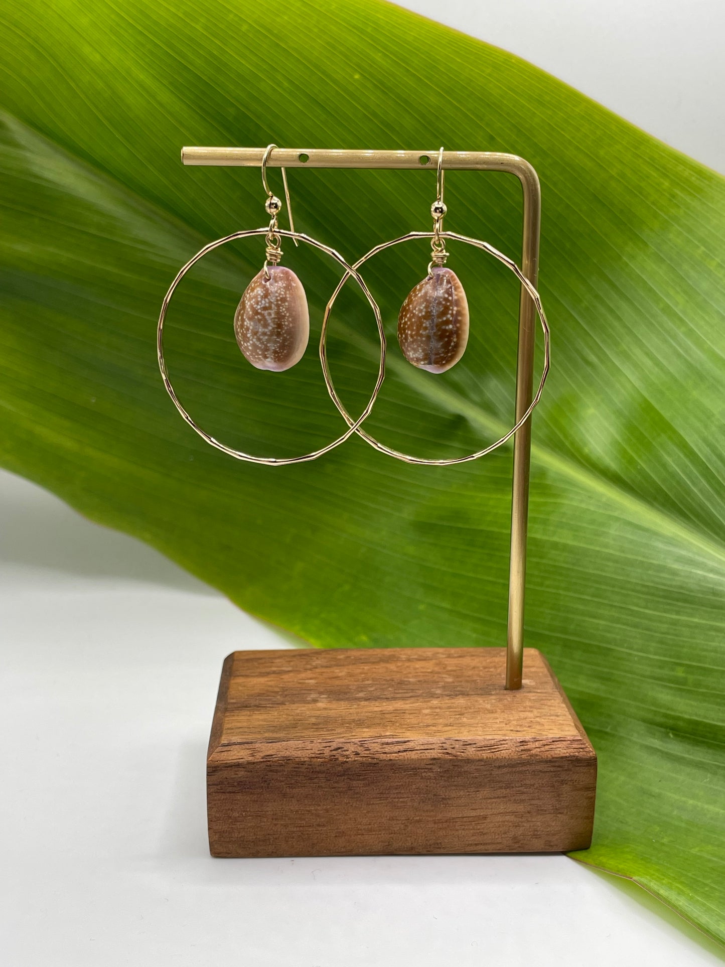 Cowrie Shell Hoops Medium