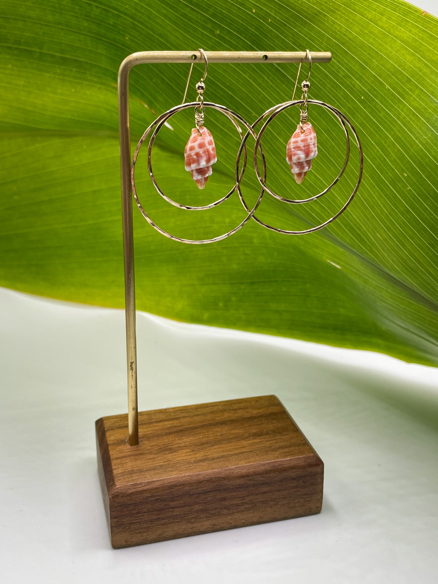 Miter Shell Double Hoops