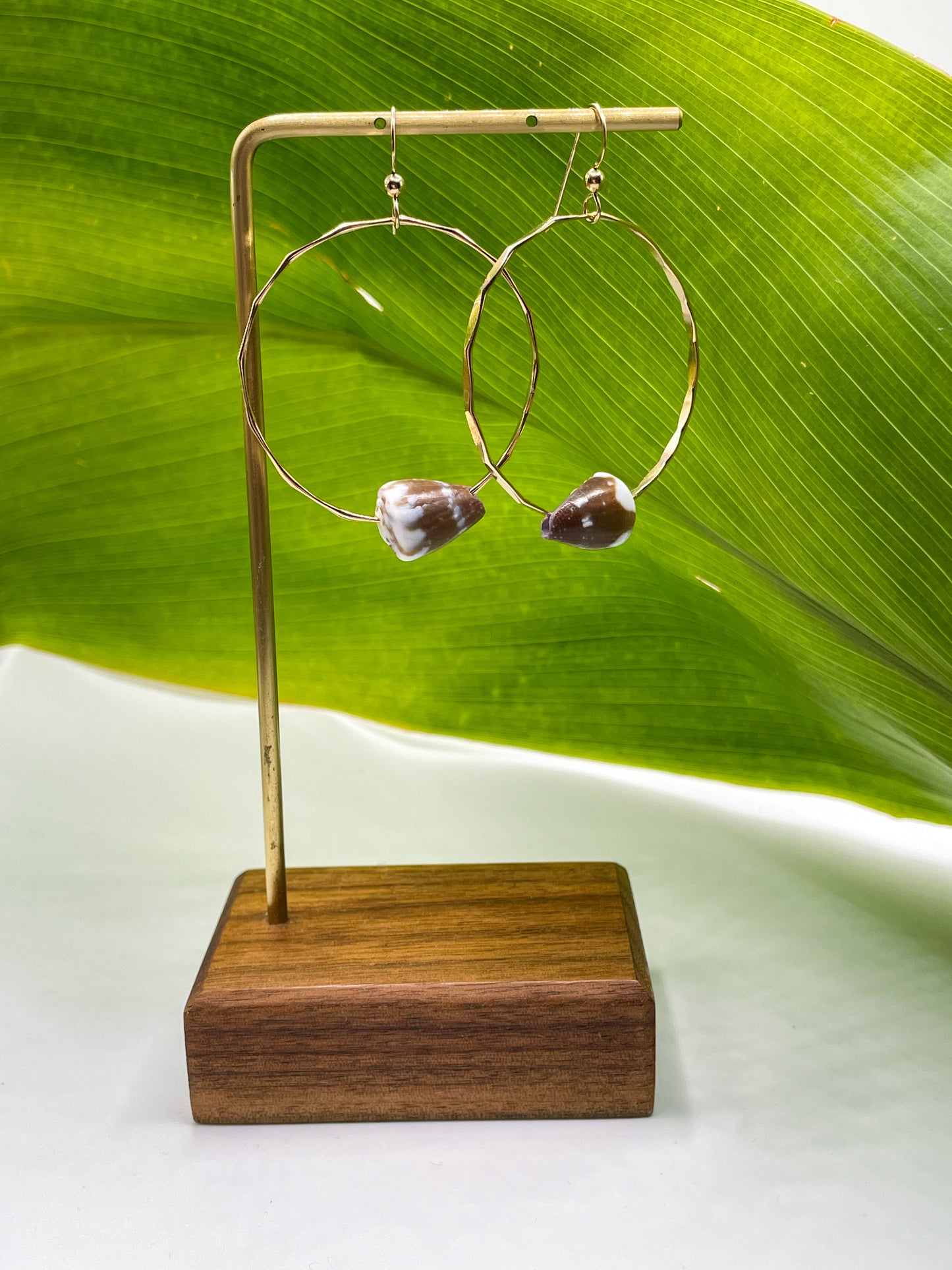 Cone Shell Hoops Medium