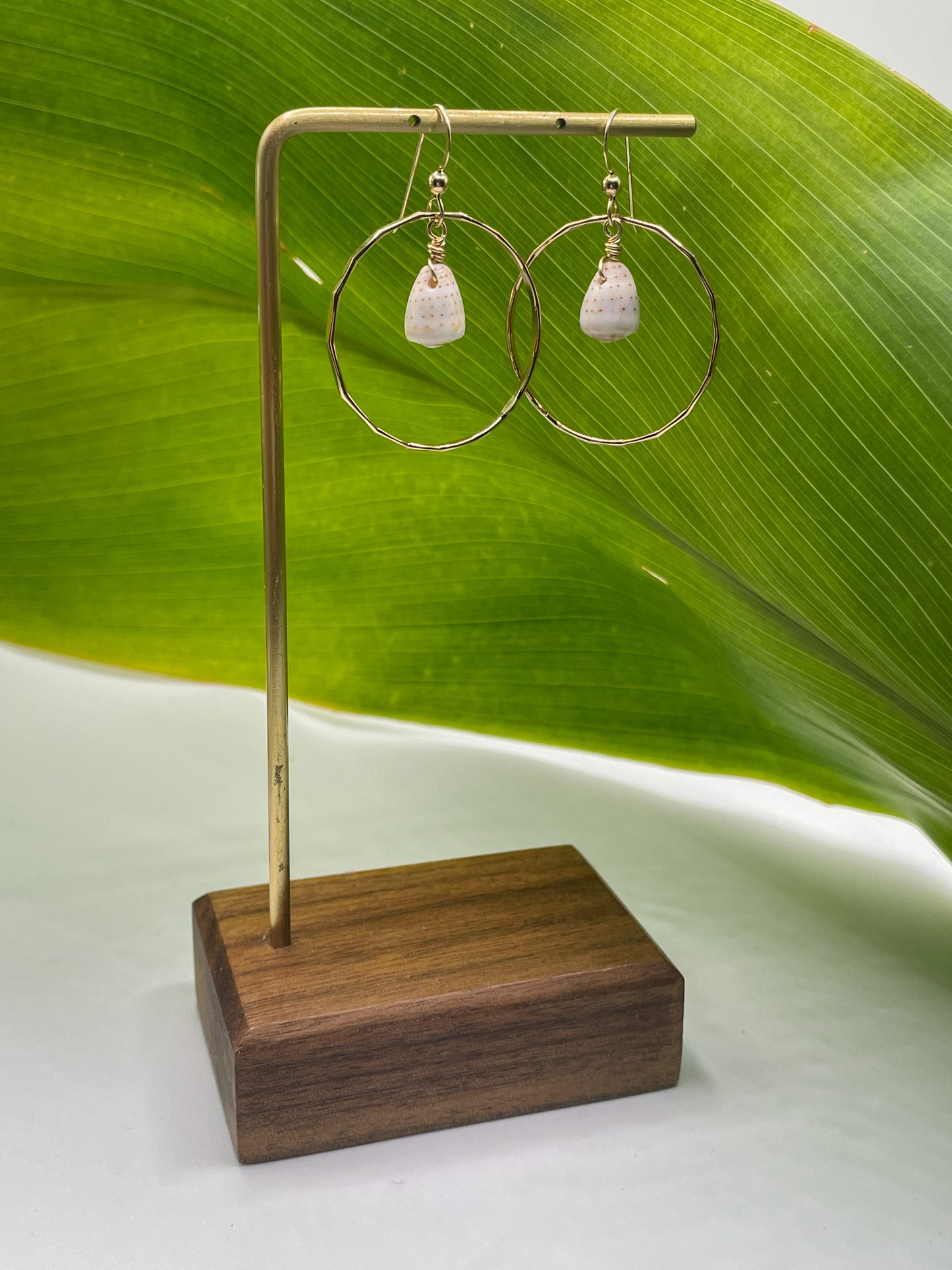 Cone Shell in Hoops Small