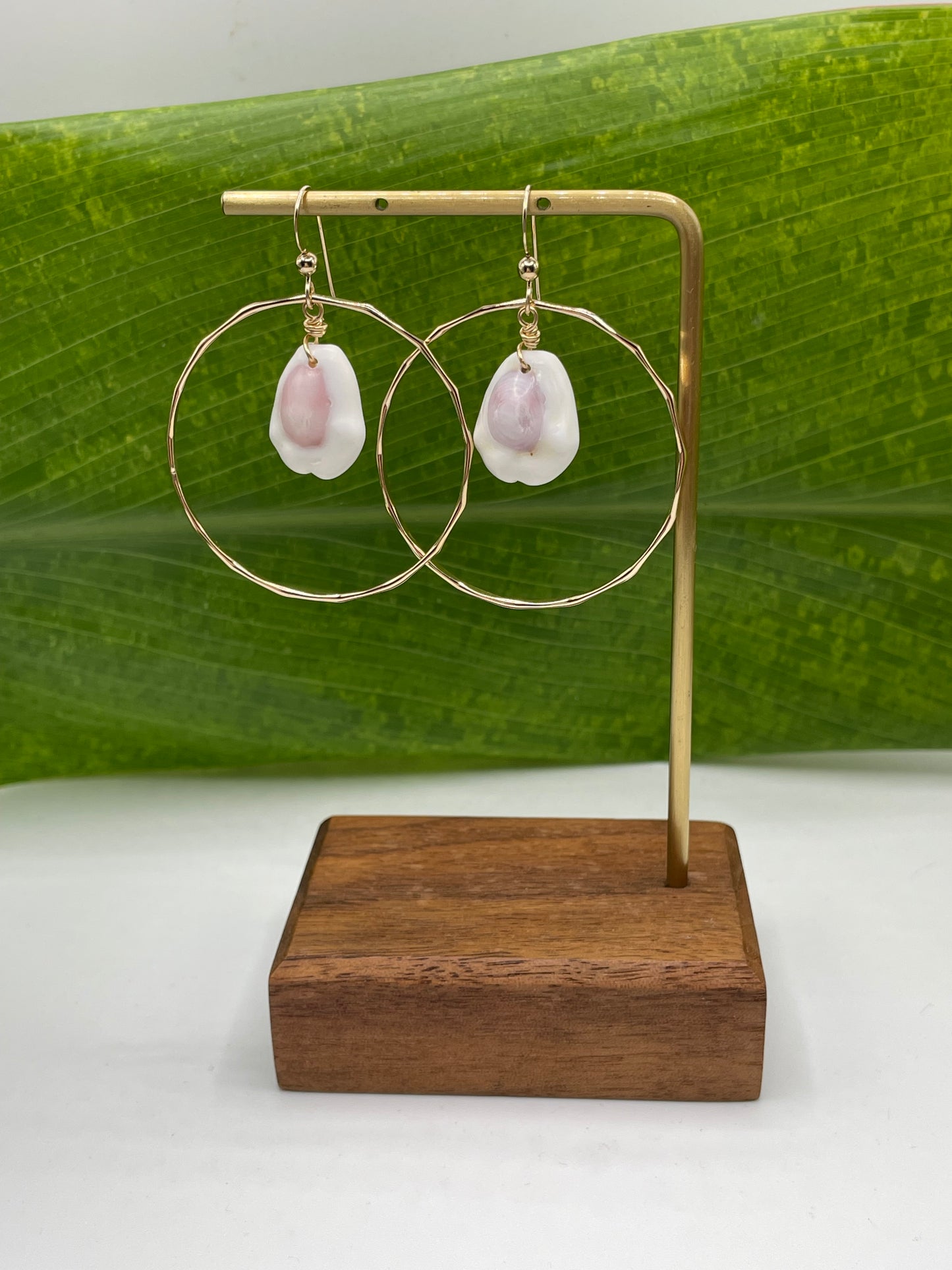 Fiji Cowrie Shell Earrings