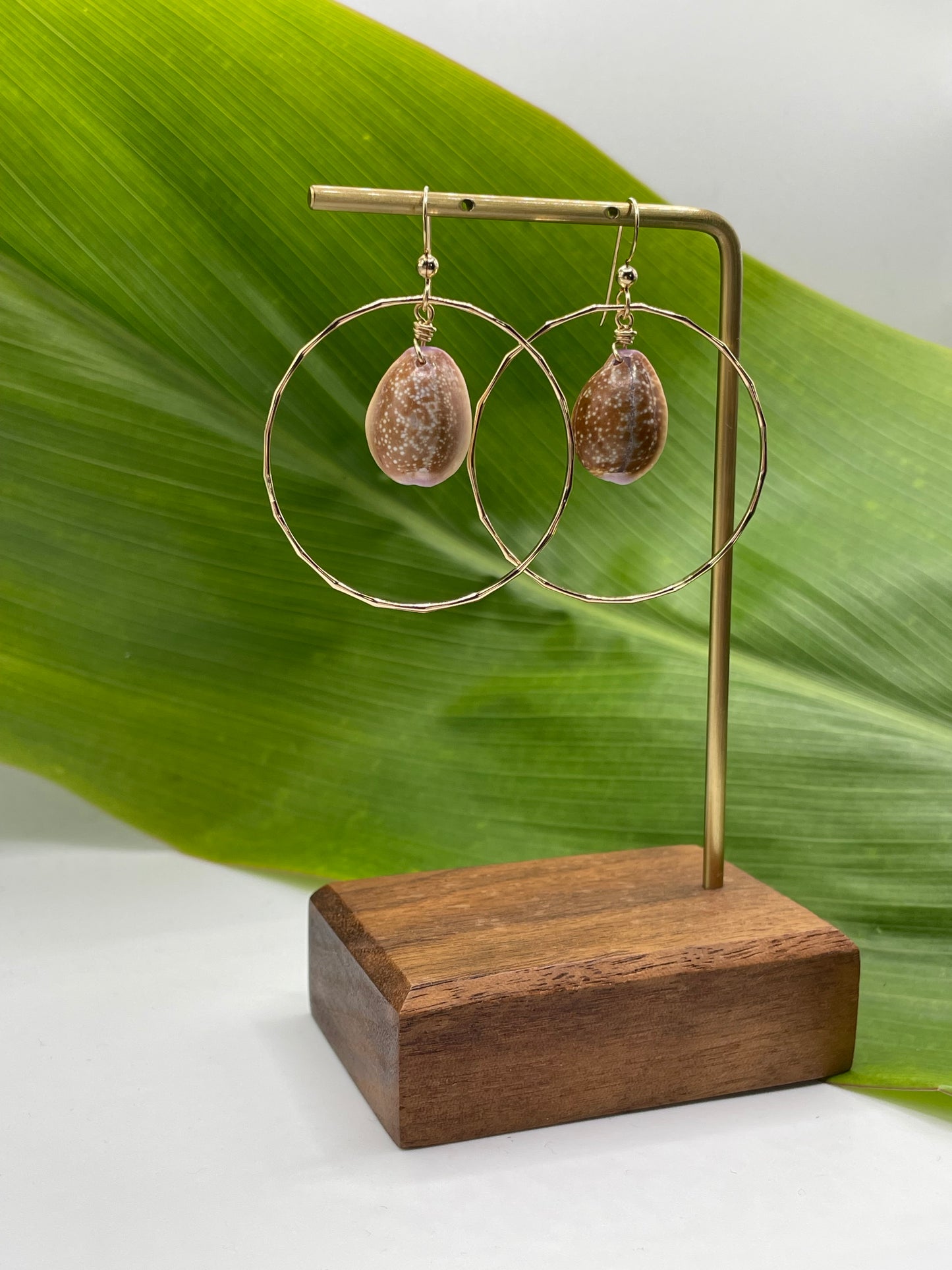 Cowrie Shell Hoops Medium