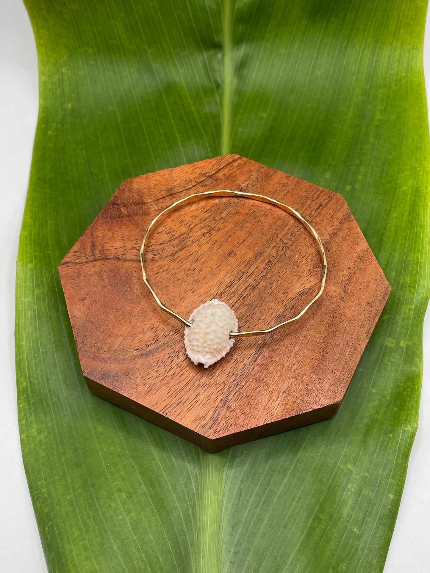 7" Sugar Cowrie Bangle Gold Filled