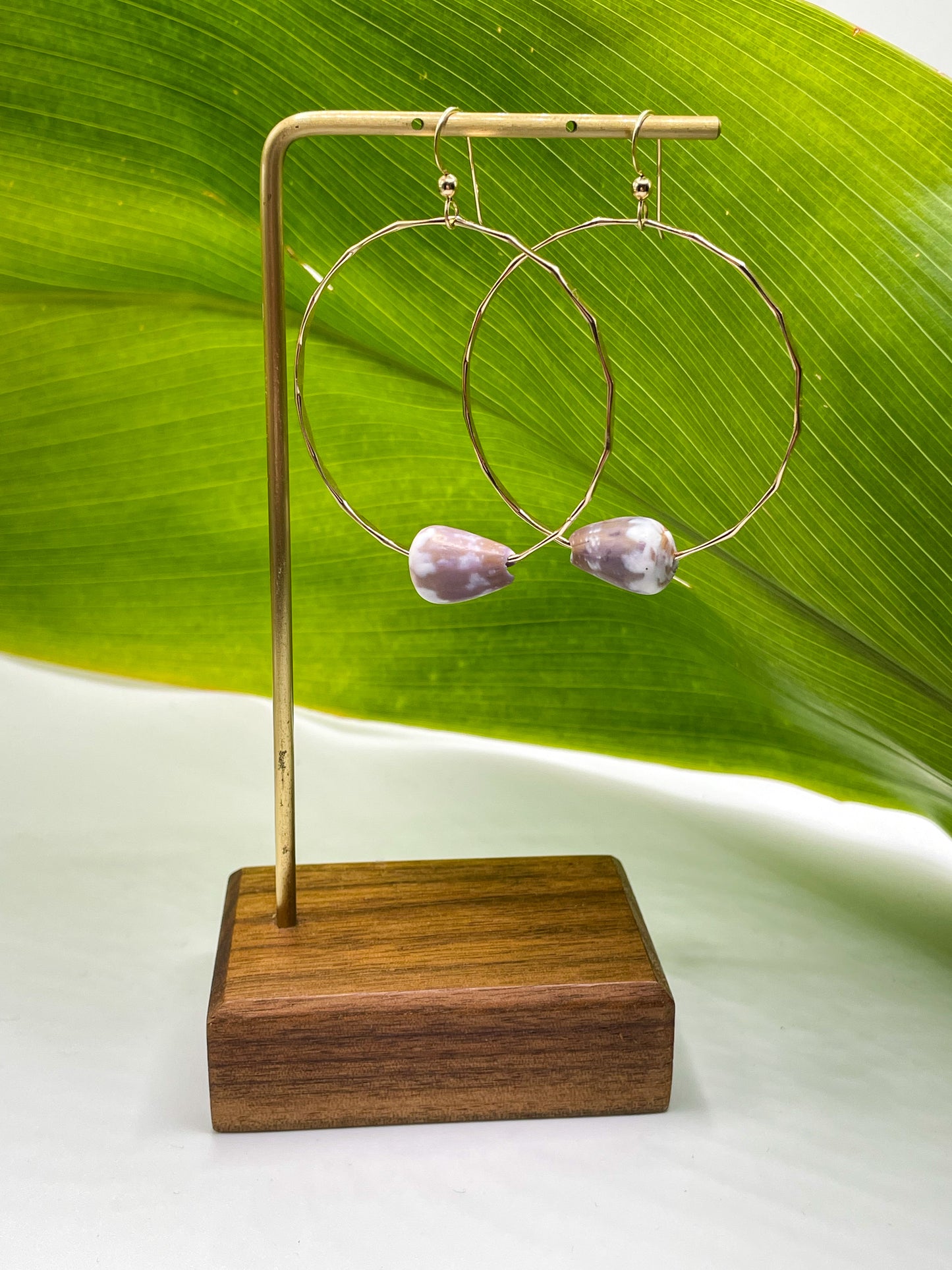 Cone Shell Hoops Large