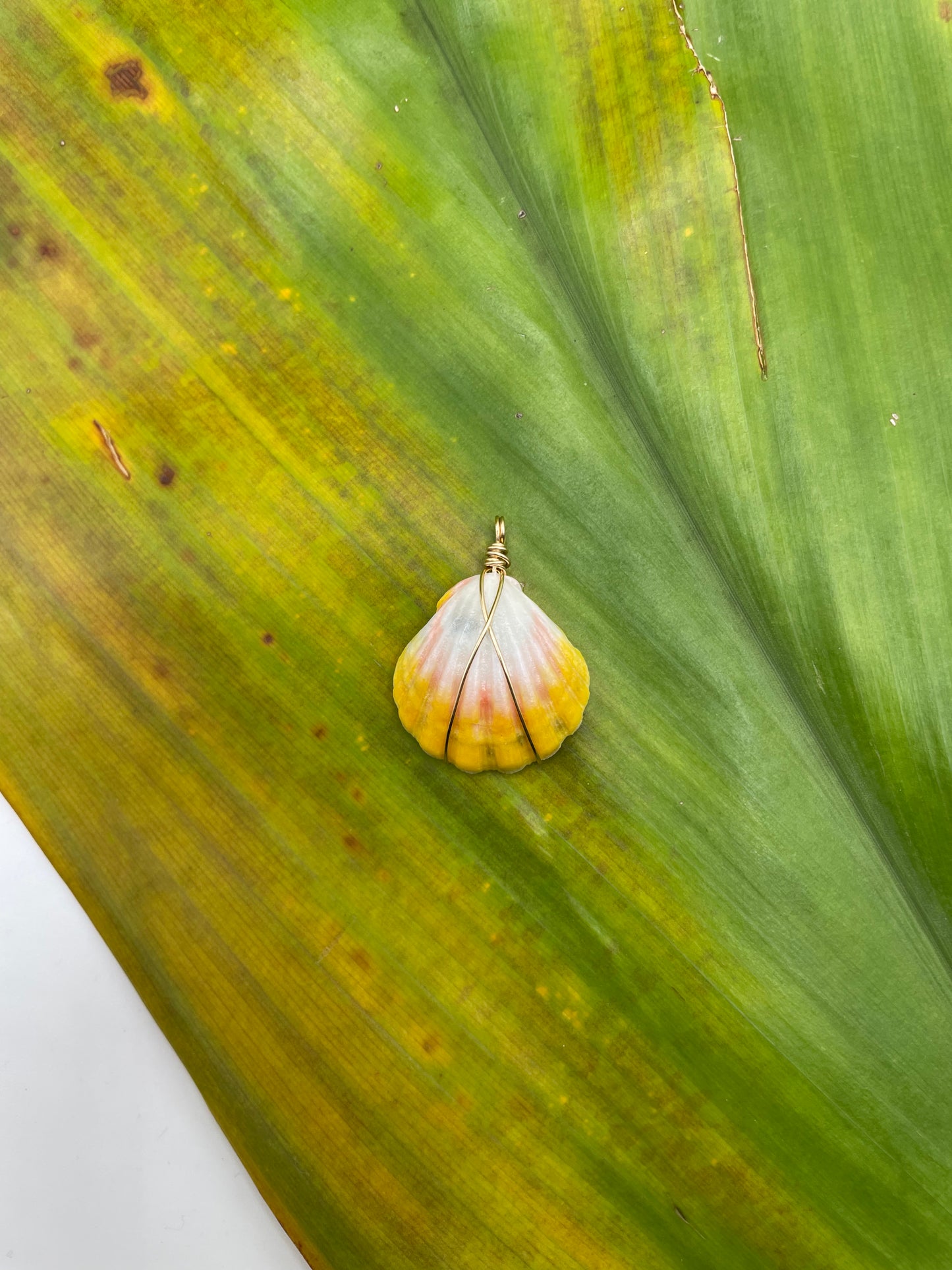 Sunrise Shell Necklace