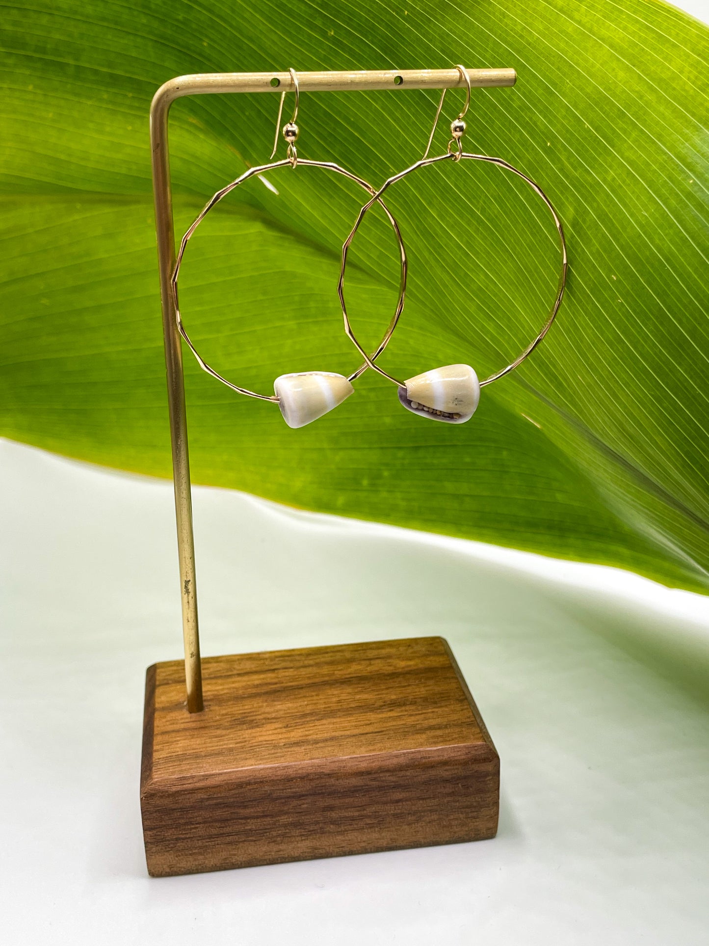 Cone Shell Hoops Medium