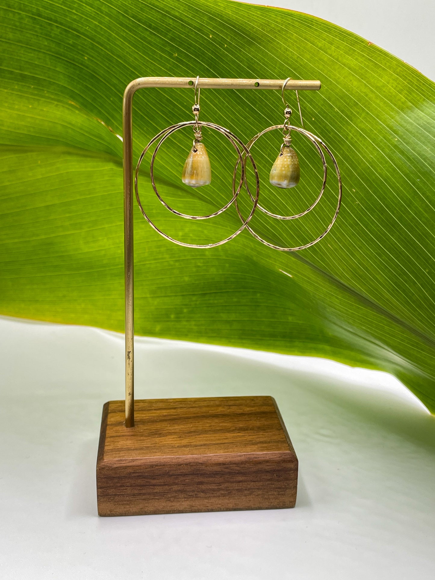 Shell in Double Hoops