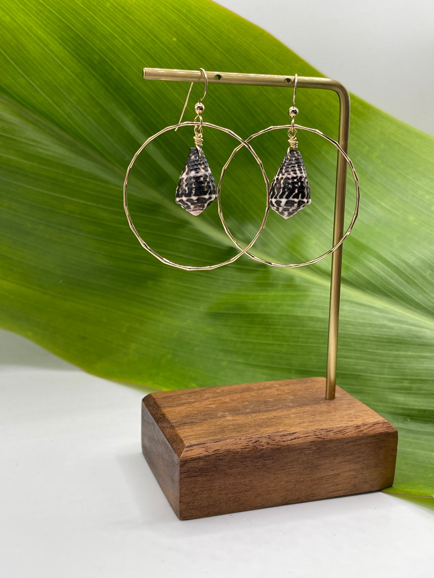 Chaldean Shell in Hoops Medium