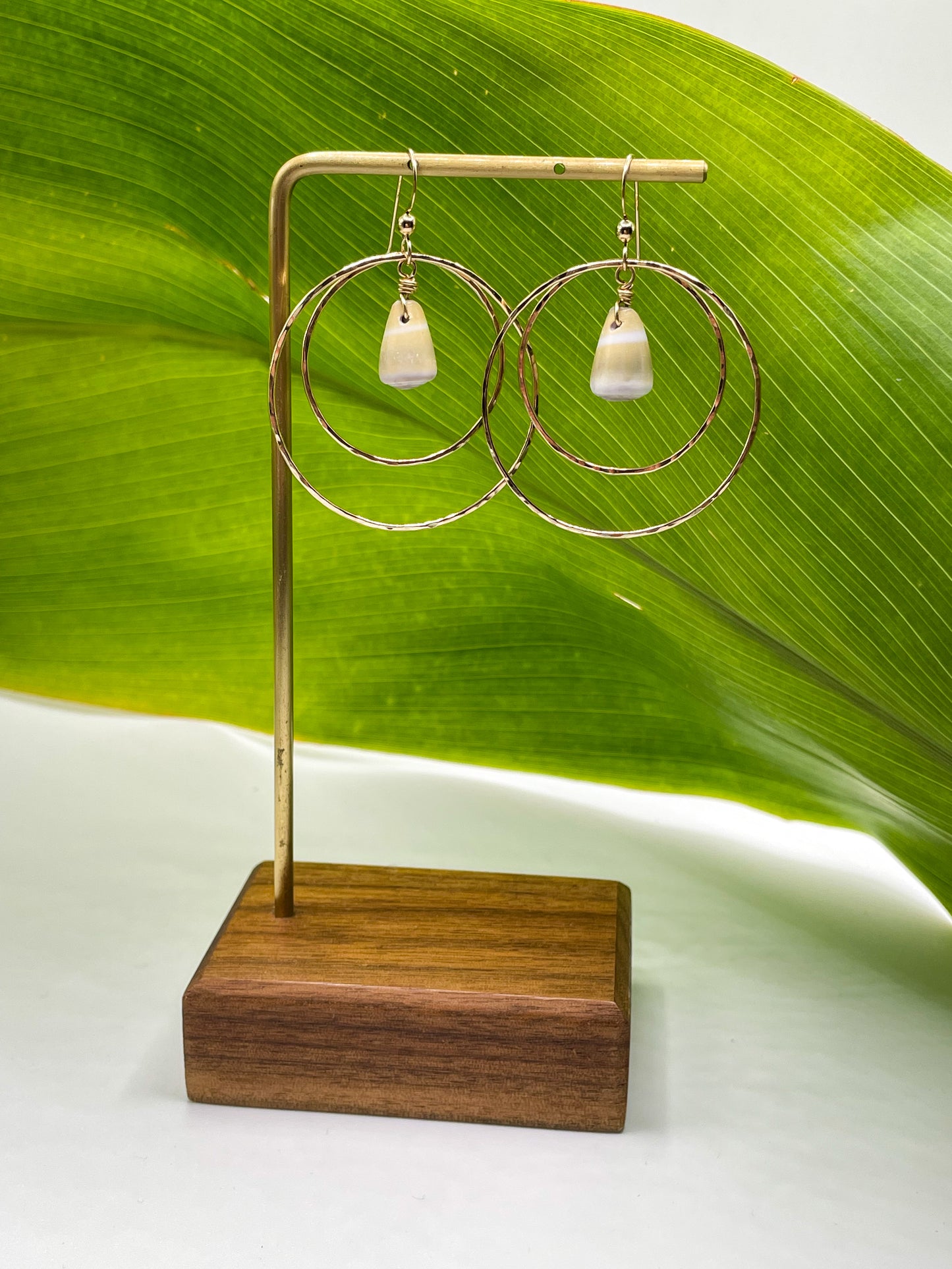 Shell in Double Hoops