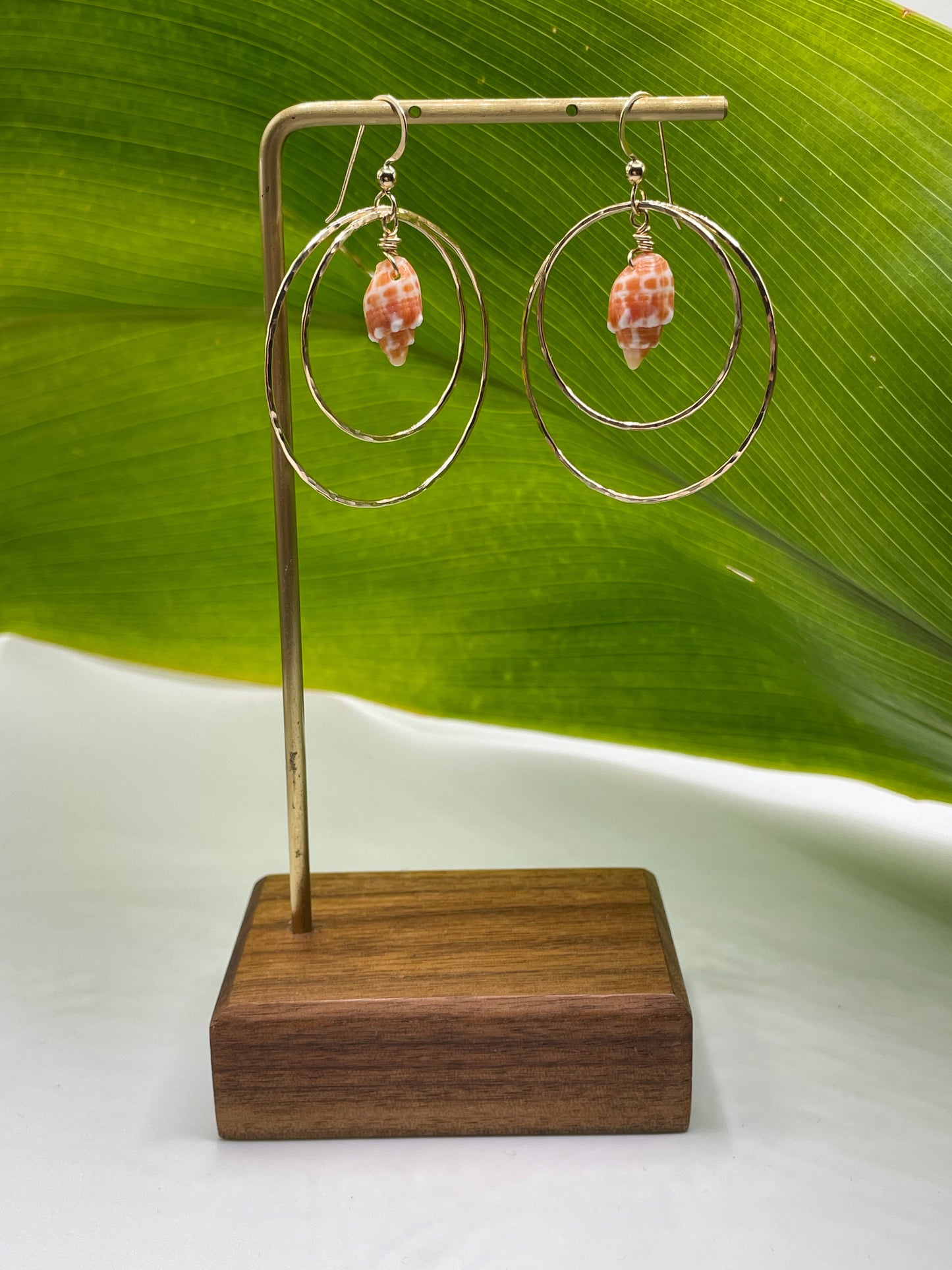 Miter Shell Double Hoops