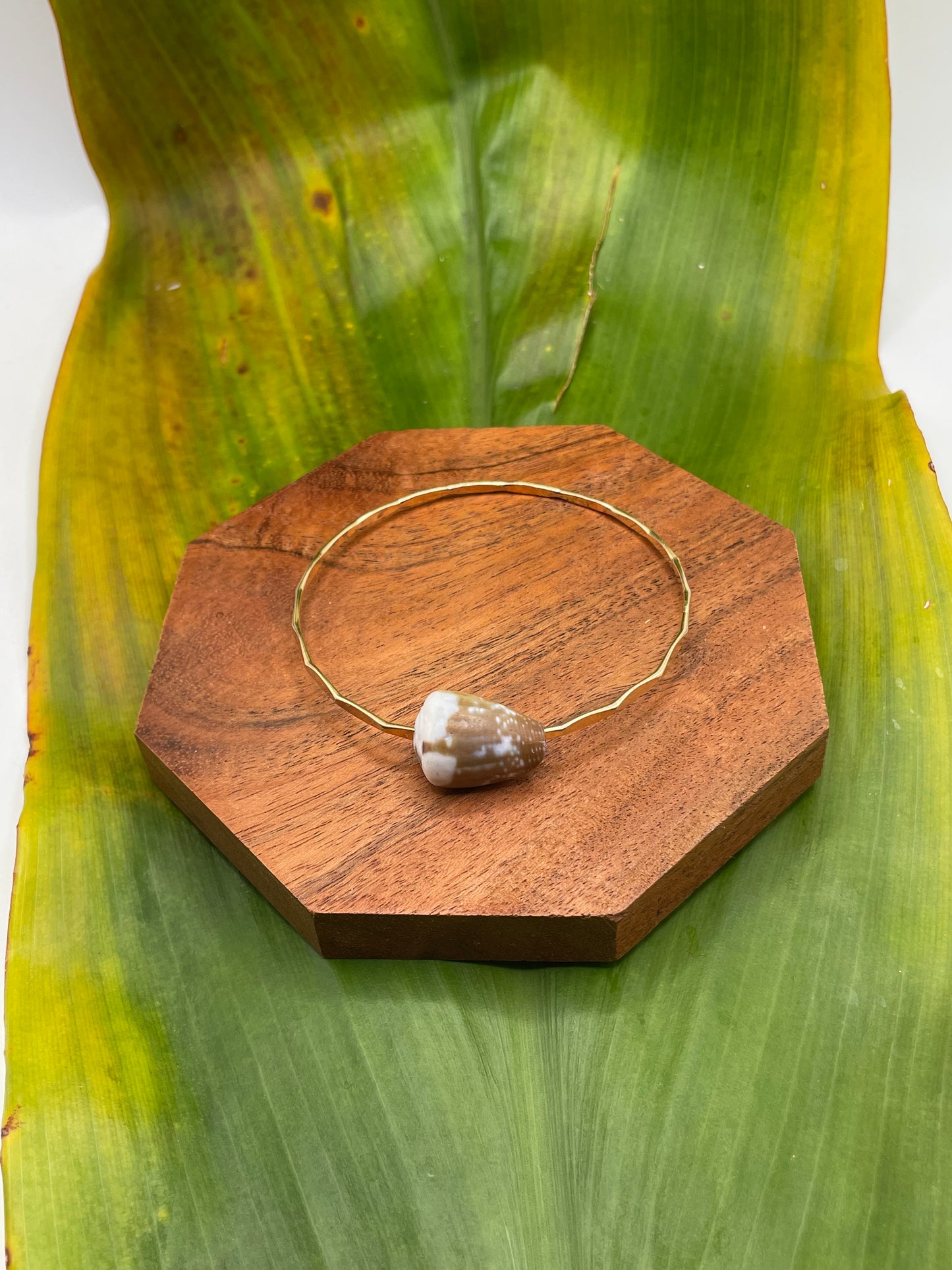 7.5" Rat Cone Shell Bangle Gold Filled