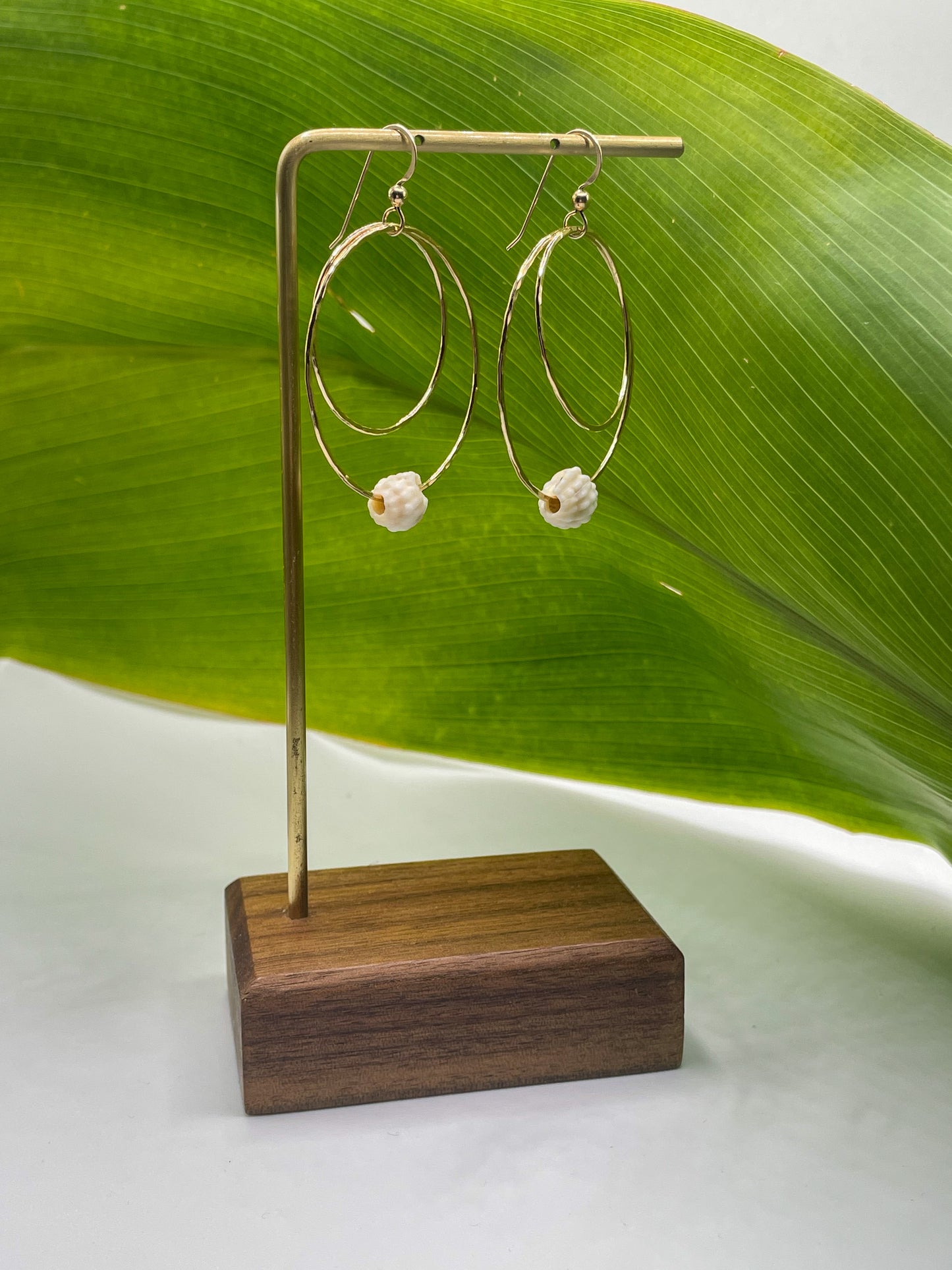 Shell Double Hoops